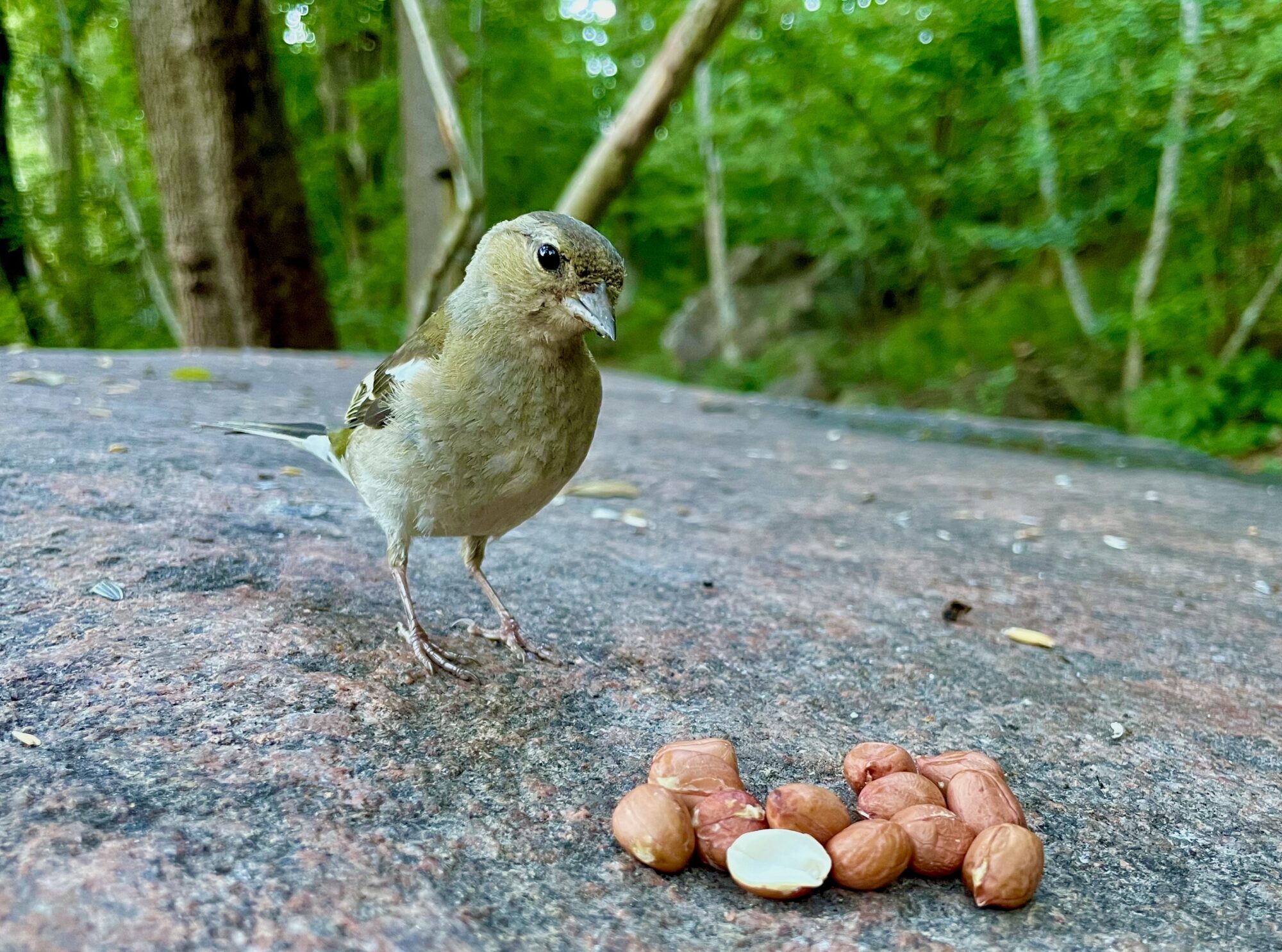 Valokuvaaja: Juhani Peltonen