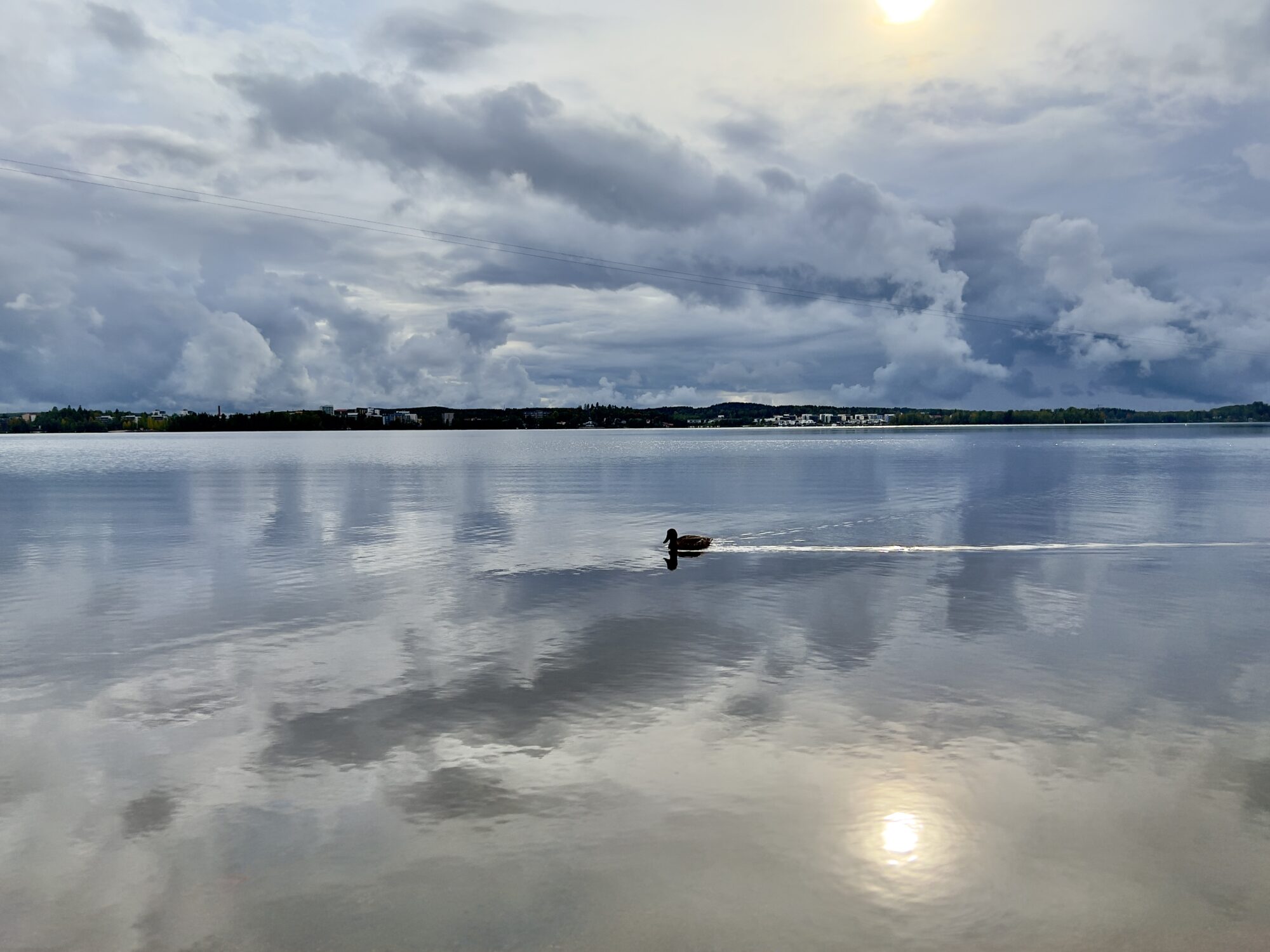 Valokuvaaja: Anne Patana