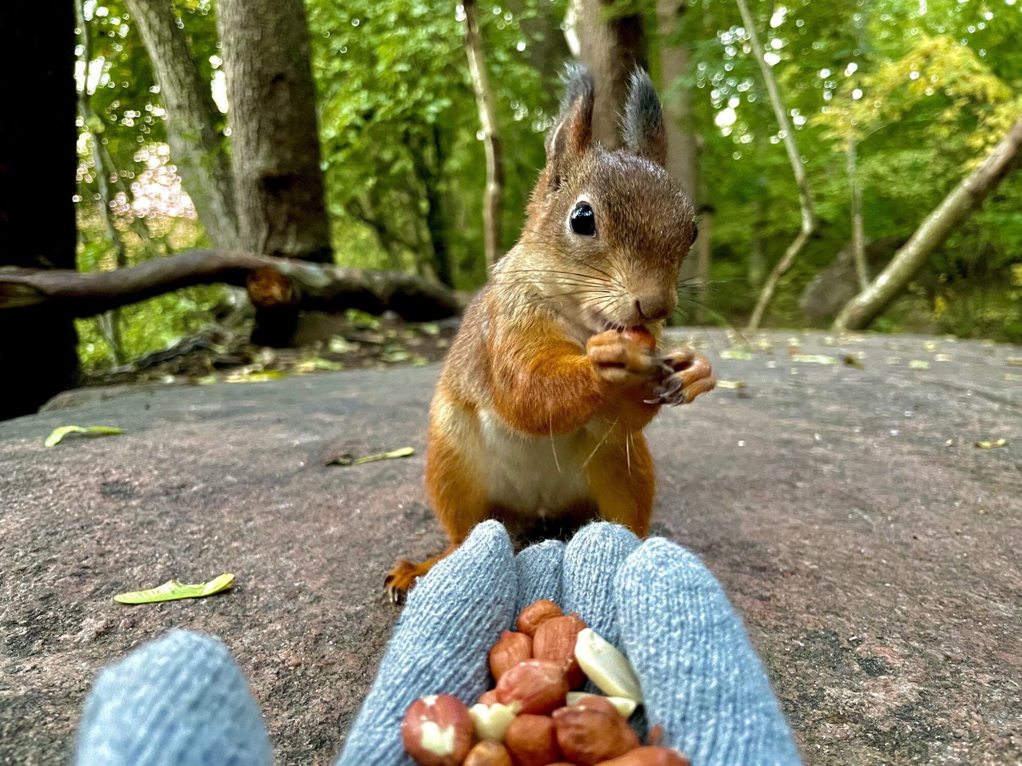 Valokuvaaja: Juhani Peltonen