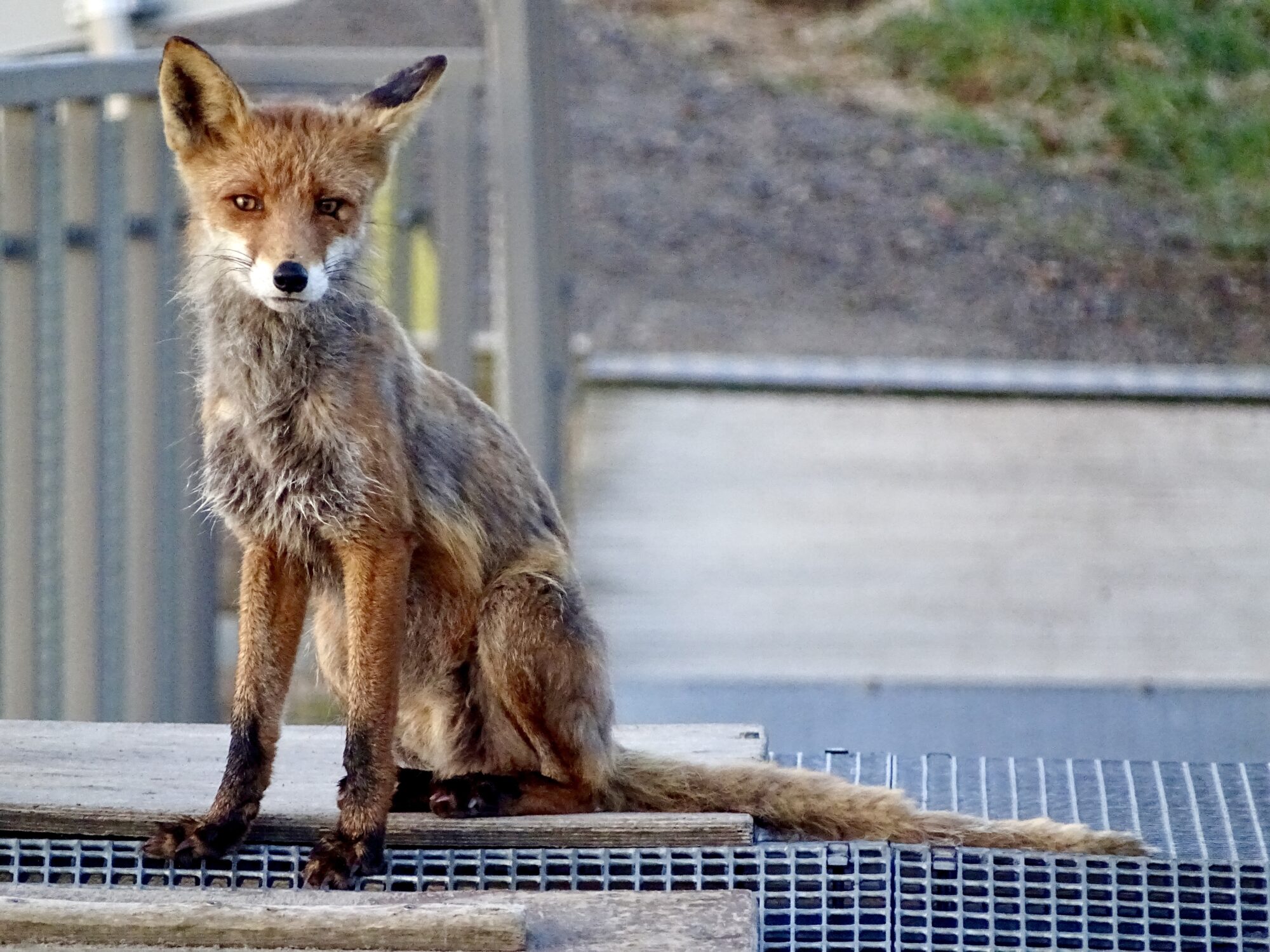 Valokuvaaja: Juhani Peltonen