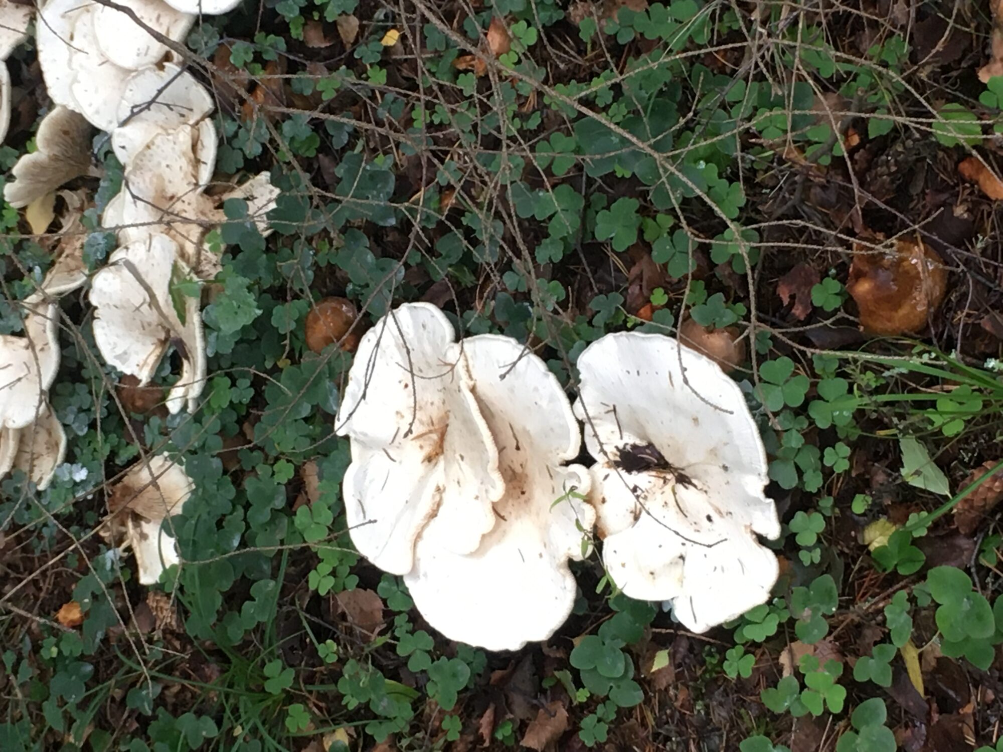 Valokuvaaja: Ulla Kahila