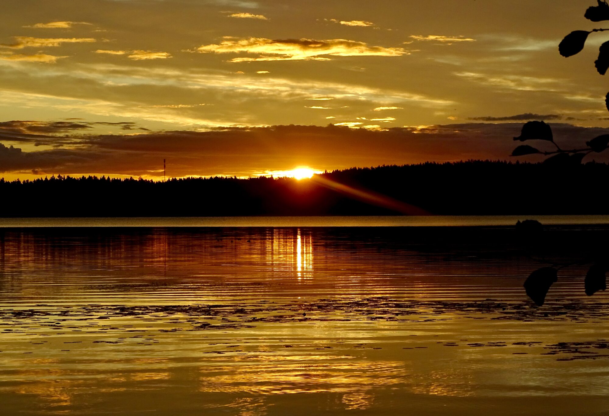 Valokuvaaja: Juhani Peltonen