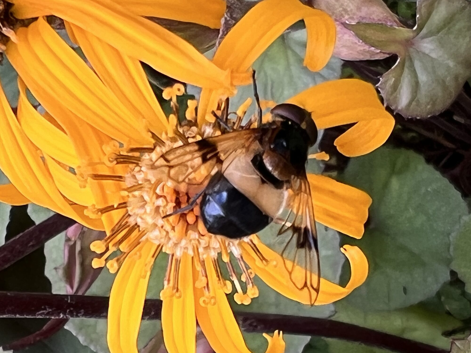 Valokuvaaja: Tuovi Tanskanen