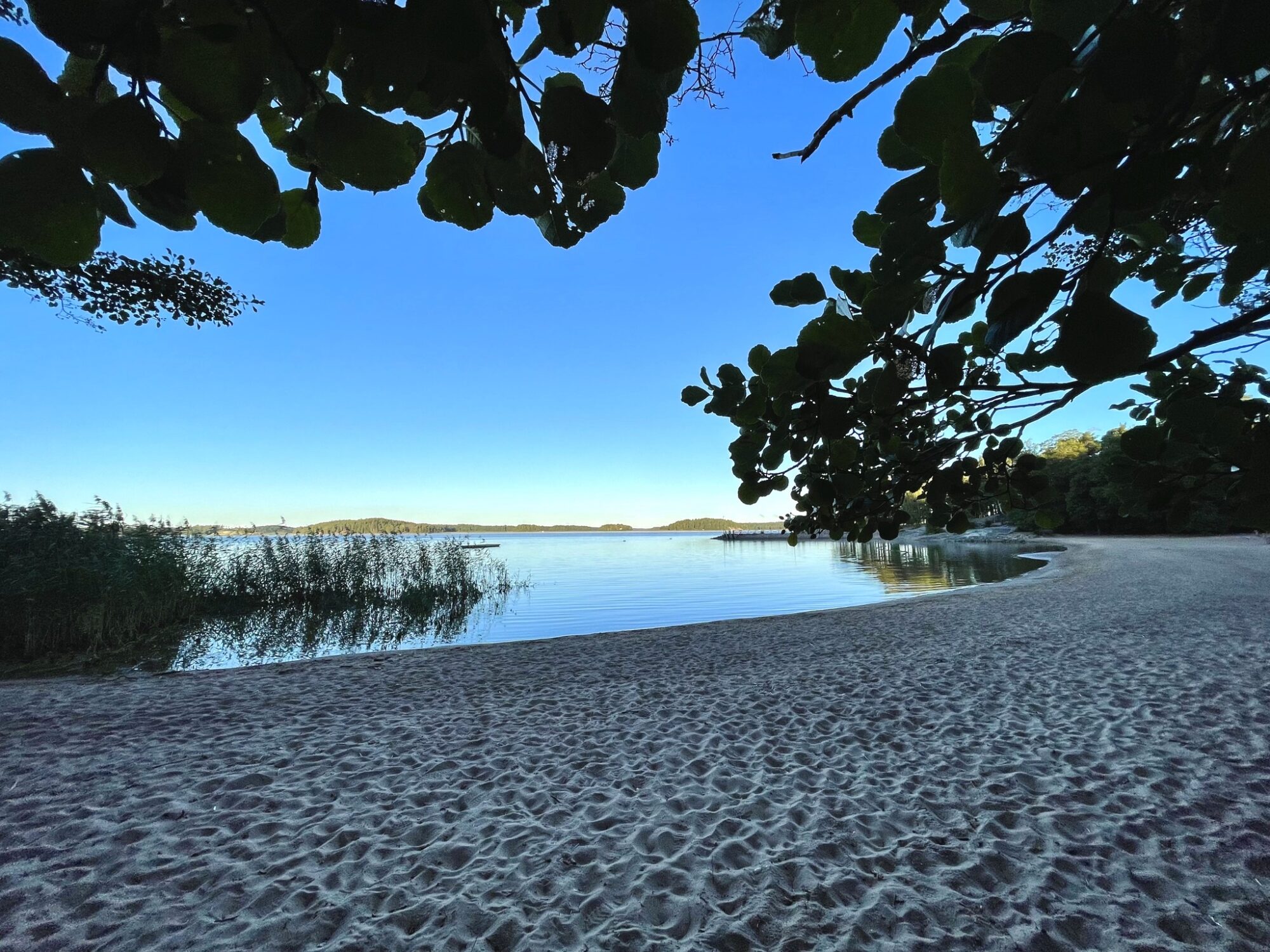 Valokuvaaja: Juhani Peltonen