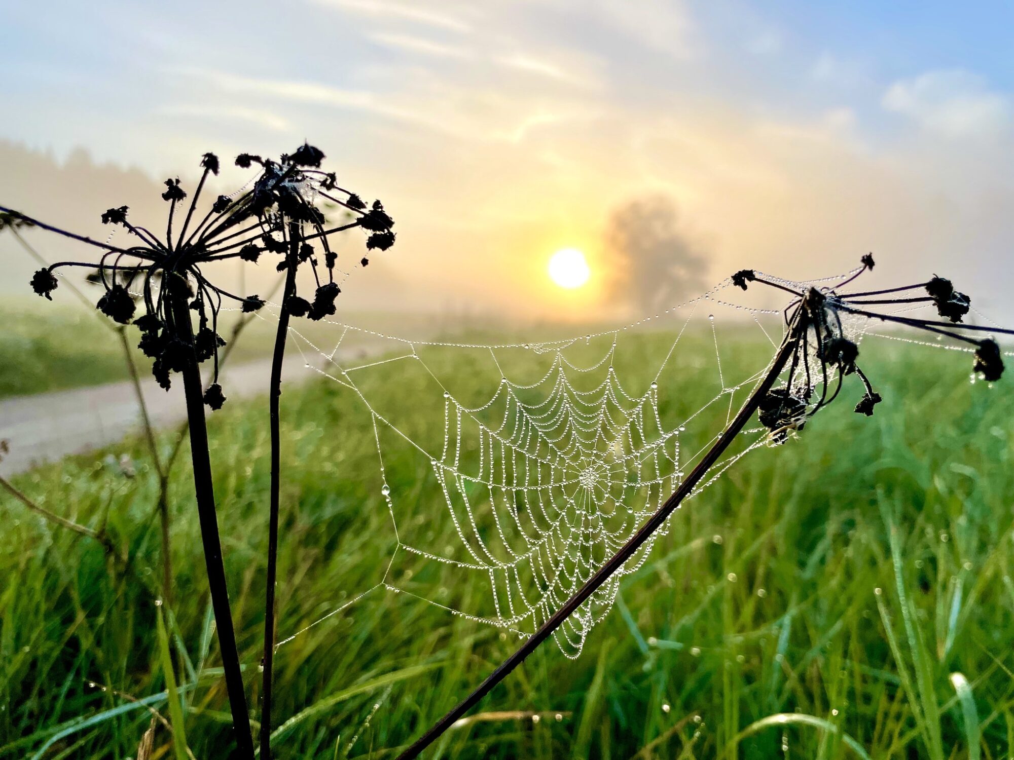 Valokuvaaja: Juhani Peltonen