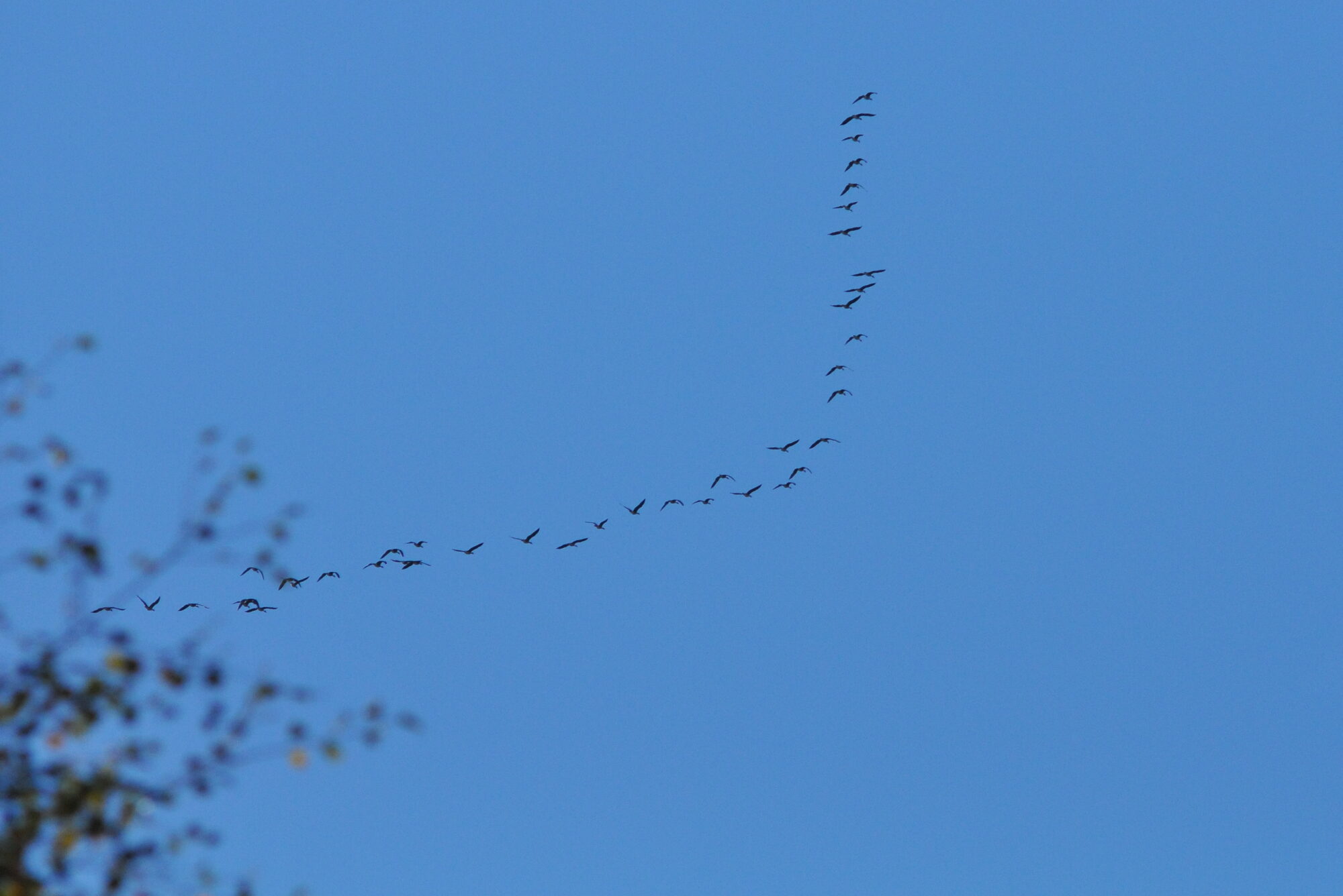 Valokuvaaja: Kaarlo Asikainen
