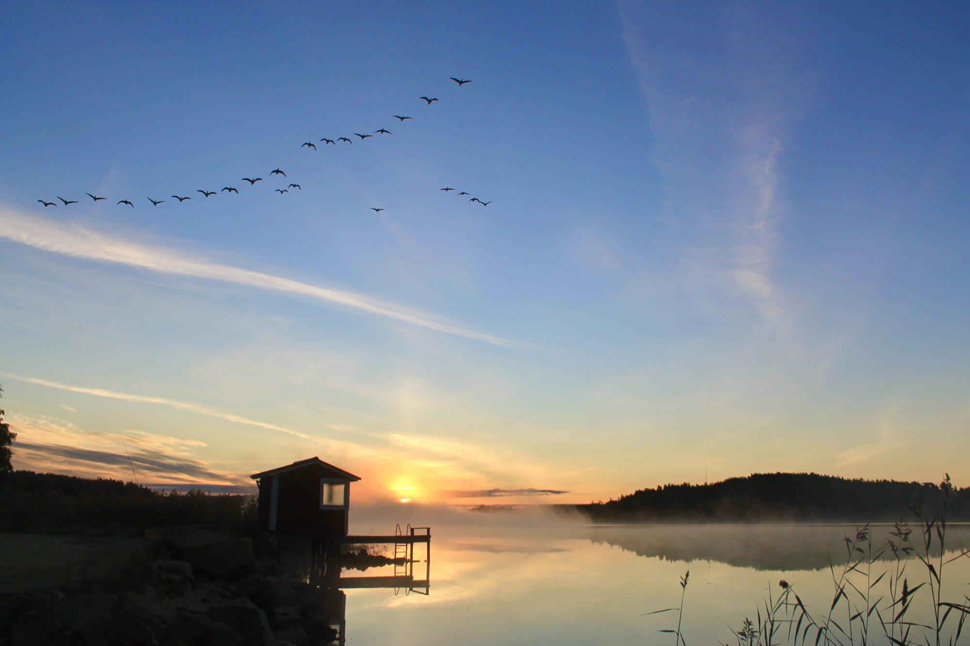 Valokuvaaja: Juhani Peltonen