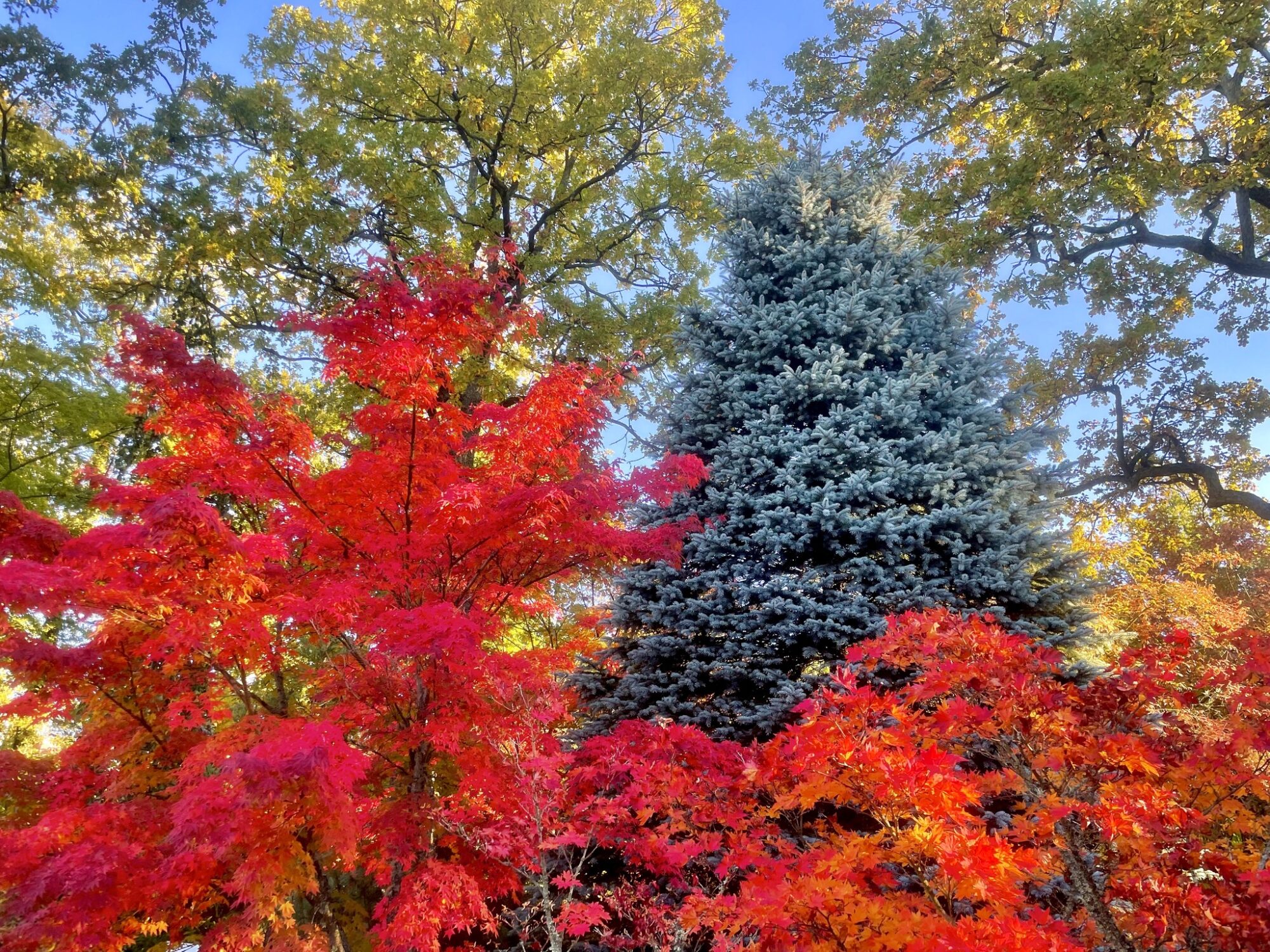 Valokuvaaja: Juhani Peltonen