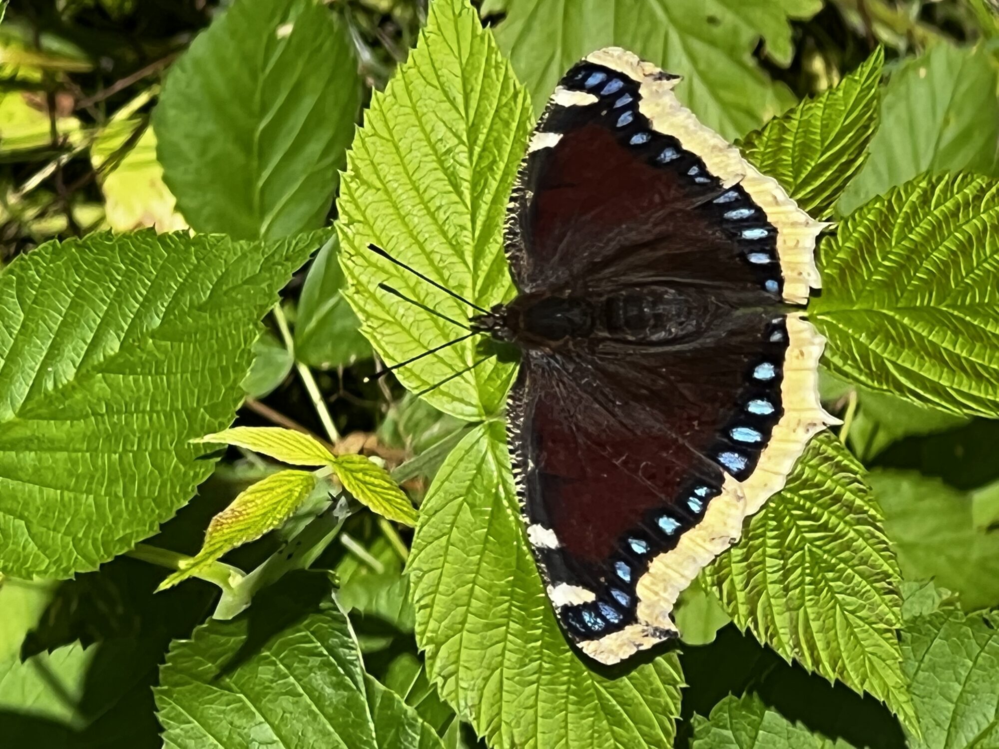 Valokuvaaja: Tuovi Tanskanen