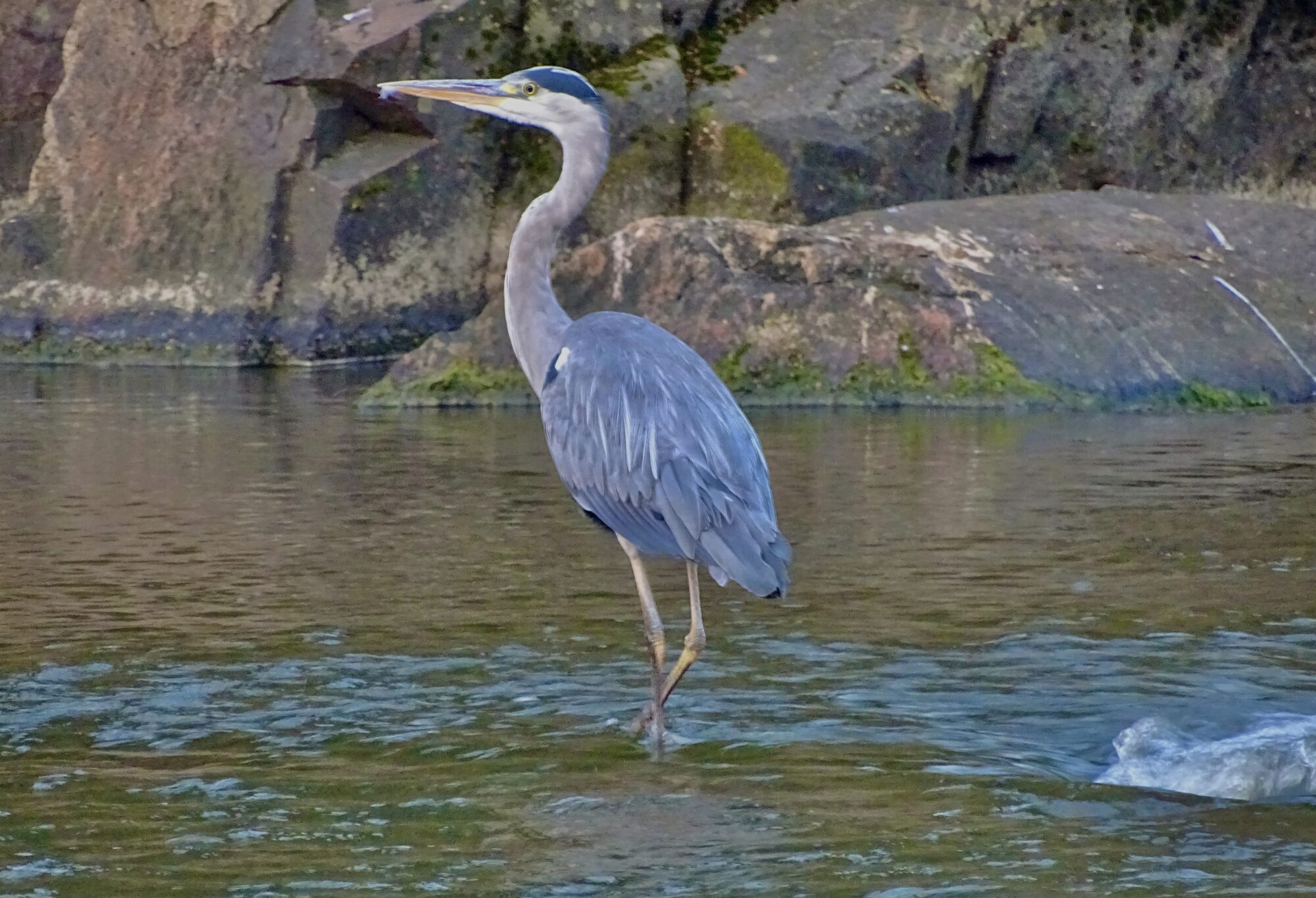 Valokuvaaja: Juhani Peltonen Valokuvaaja: Juhani Peltonen