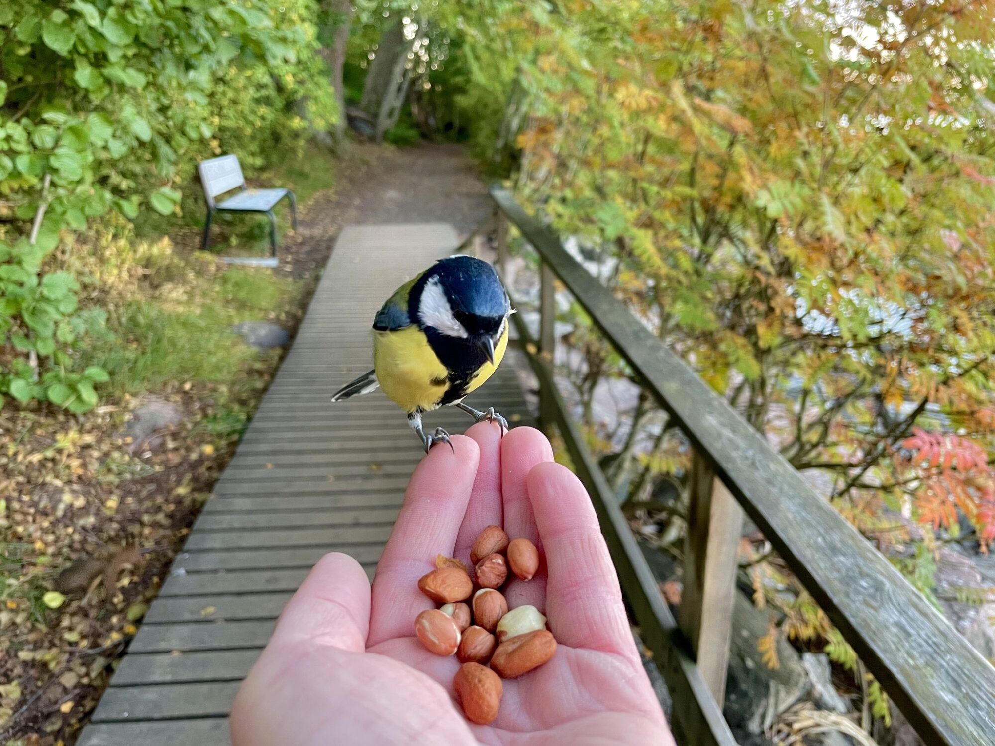 Valokuvaaja: Juhani Peltonen