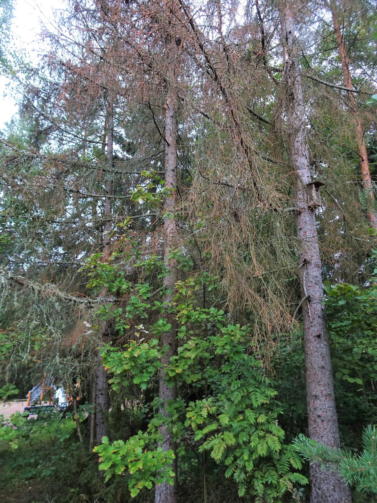 Valokuvaaja: Irja Lehtinen