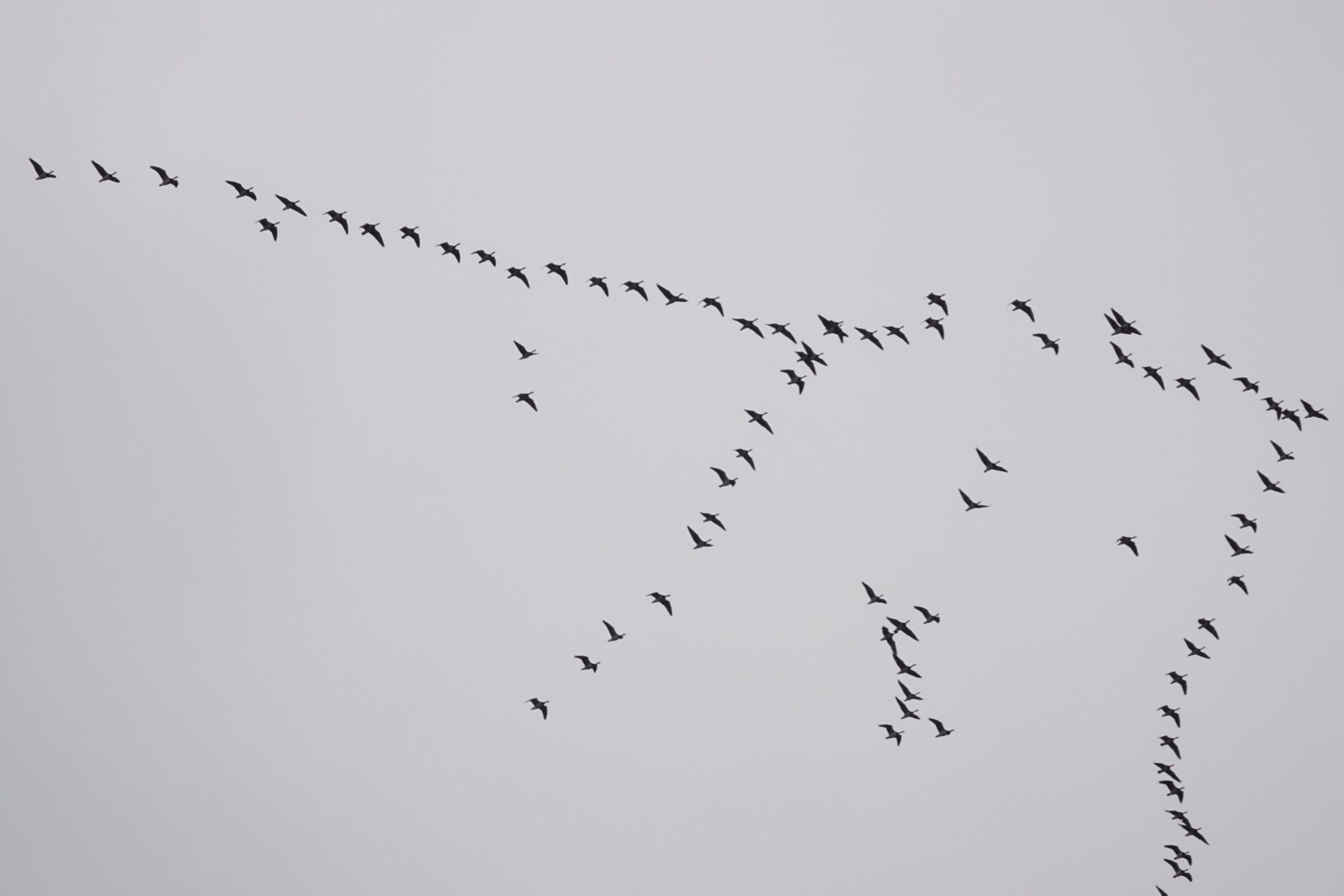 Valokuvaaja: Jenna Pitkänen