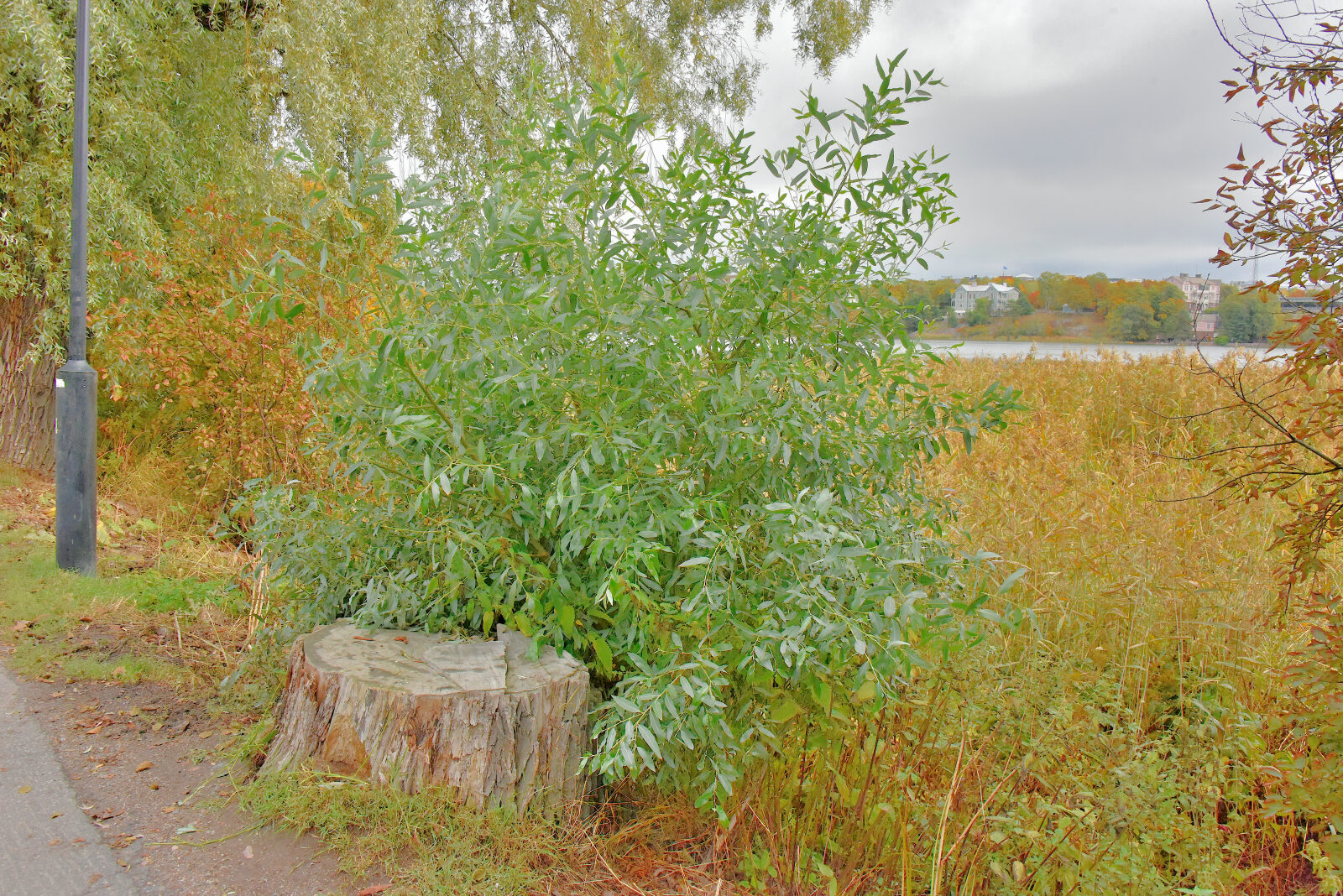 Valokuvaaja: Reijo Juurinen Valokuvaaja: Reijo Juurinen