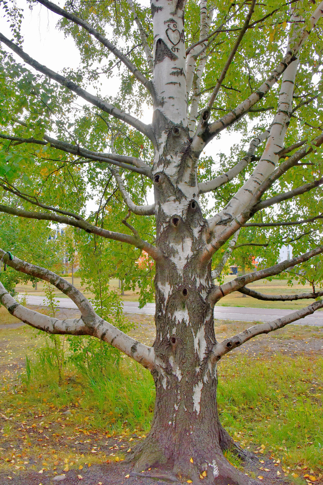 Valokuvaaja: Reijo Juurinen