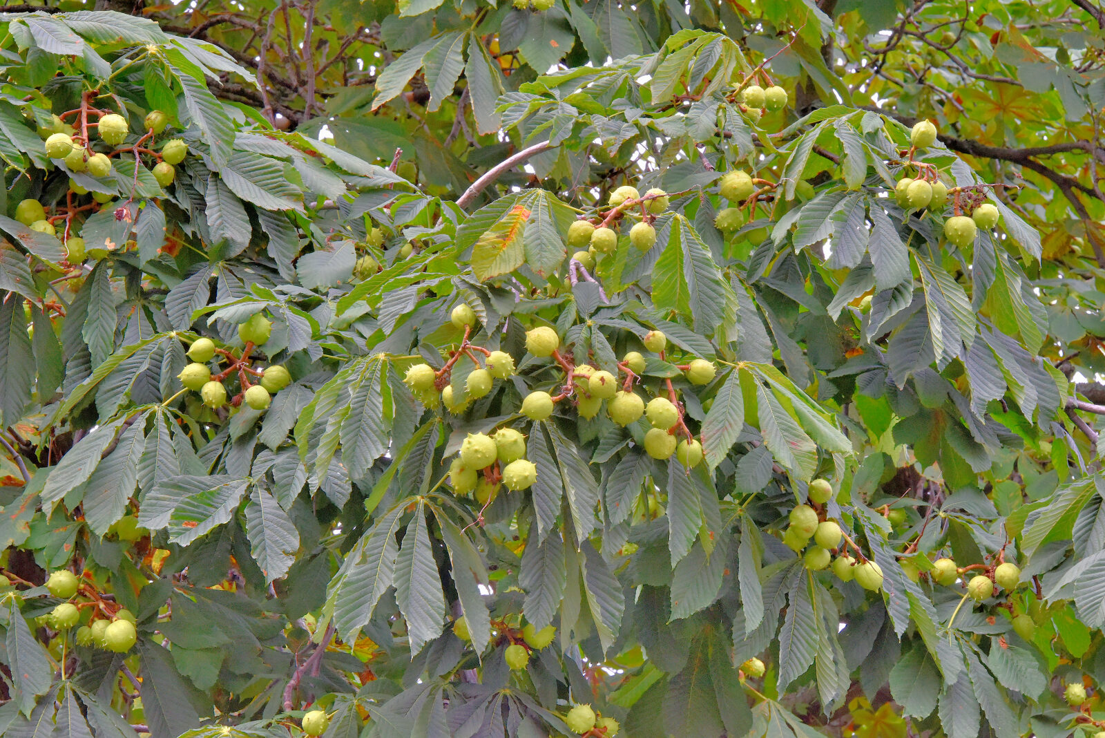 Valokuvaaja: Reijo Juurinen