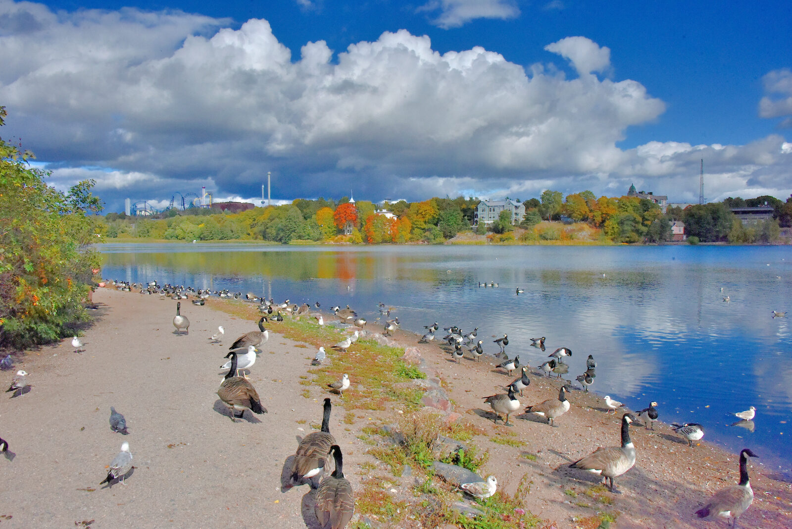 Valokuvaaja: Reijo Juurinen Valokuvaaja: Reijo Juurinen