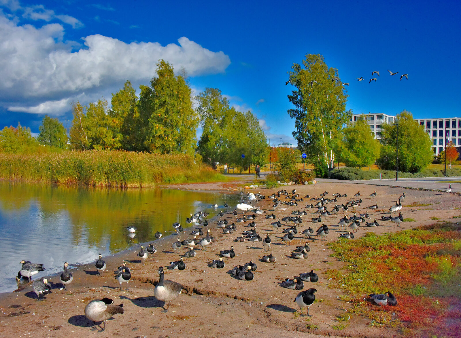 Valokuvaaja: Reijo Juurinen