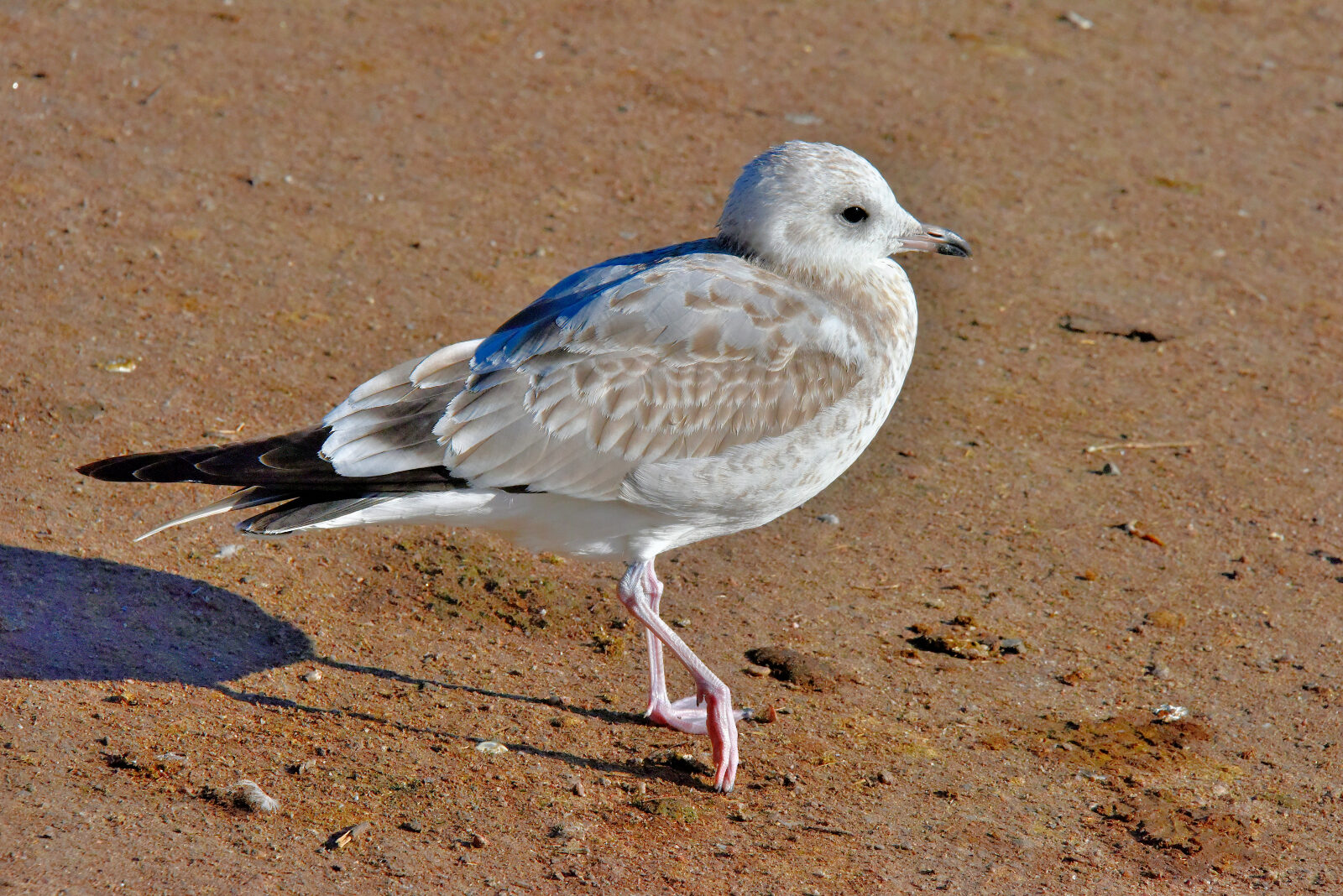Valokuvaaja: Reijo Juurinen