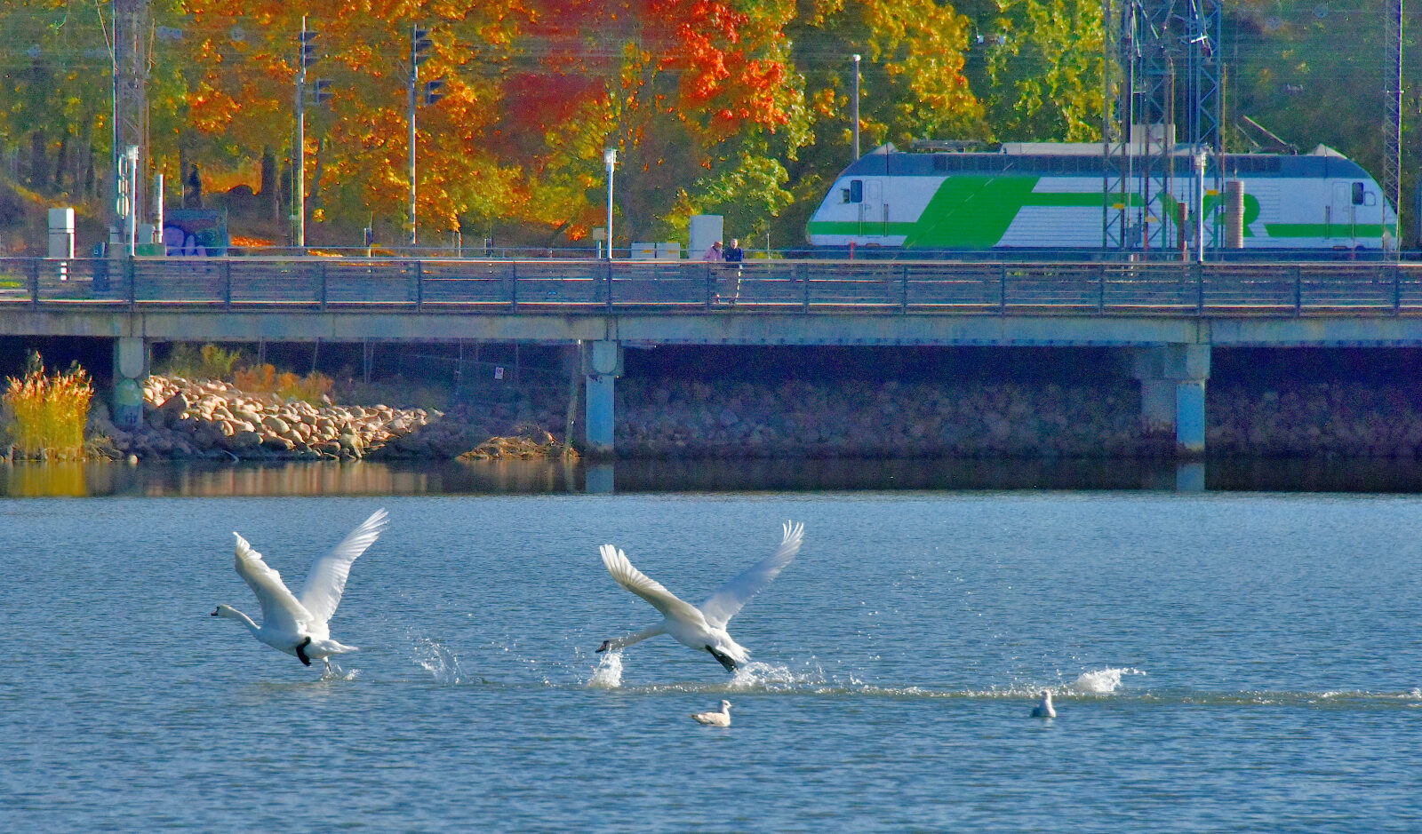 Valokuvaaja: Reijo Juurinen
