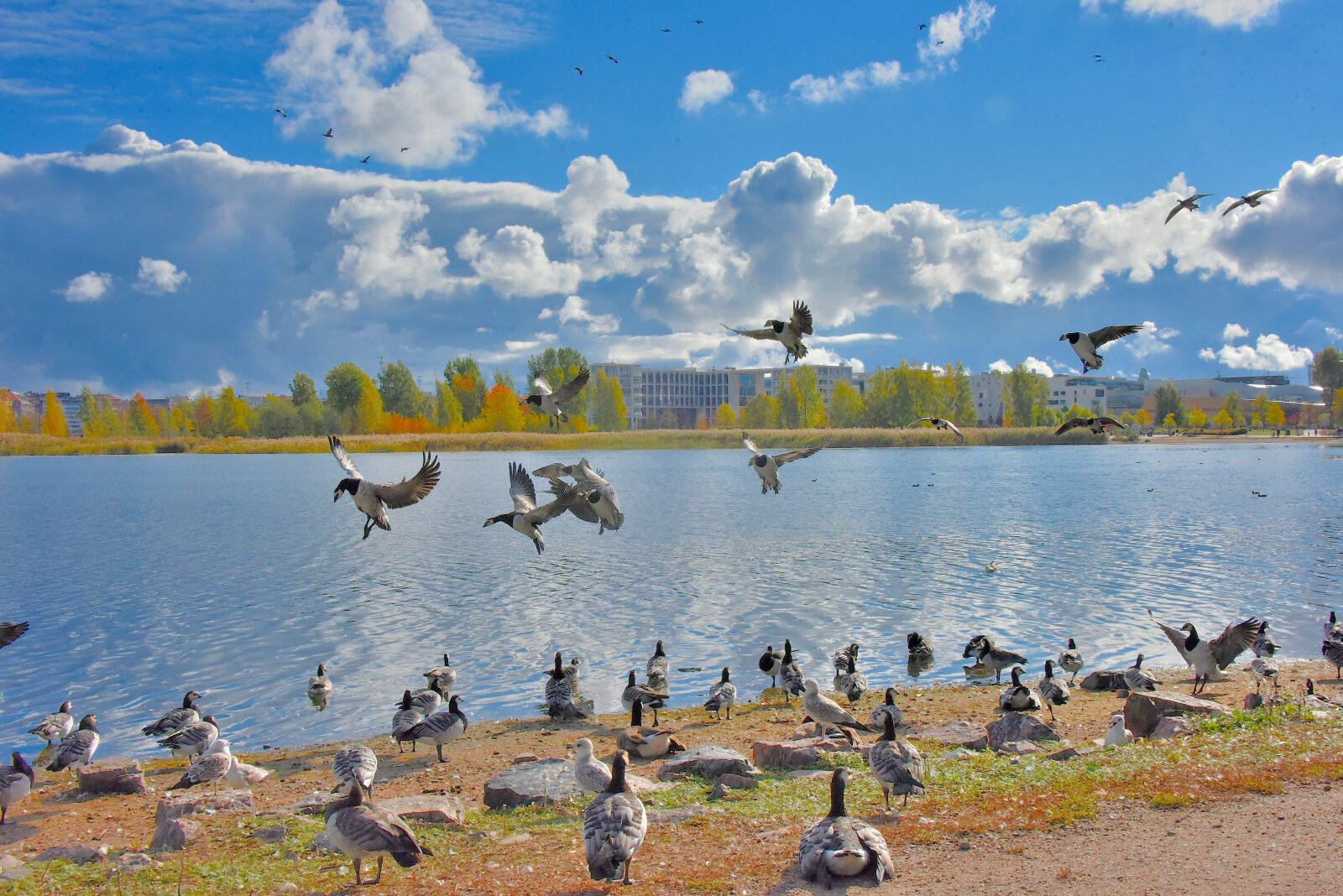 Valokuvaaja: Reijo Juurinen