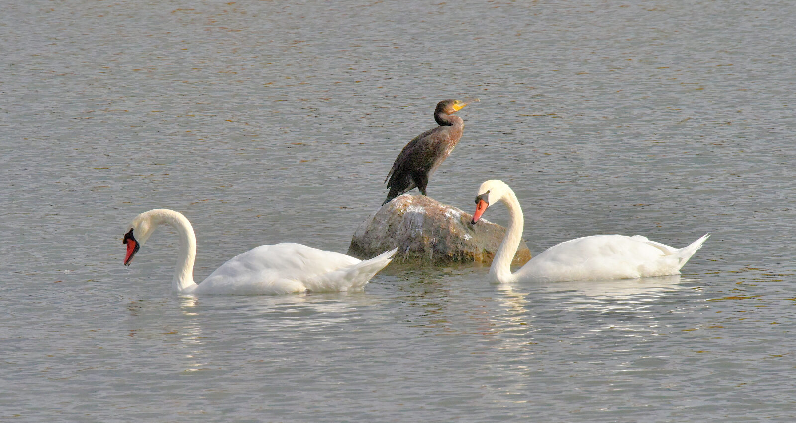 Valokuvaaja: Reijo Juurinen
