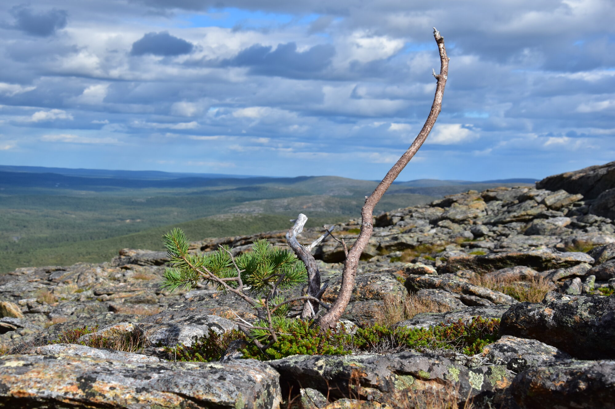 Valokuvaaja: Lahja Toivanen Valokuvaaja: Lahja Toivanen