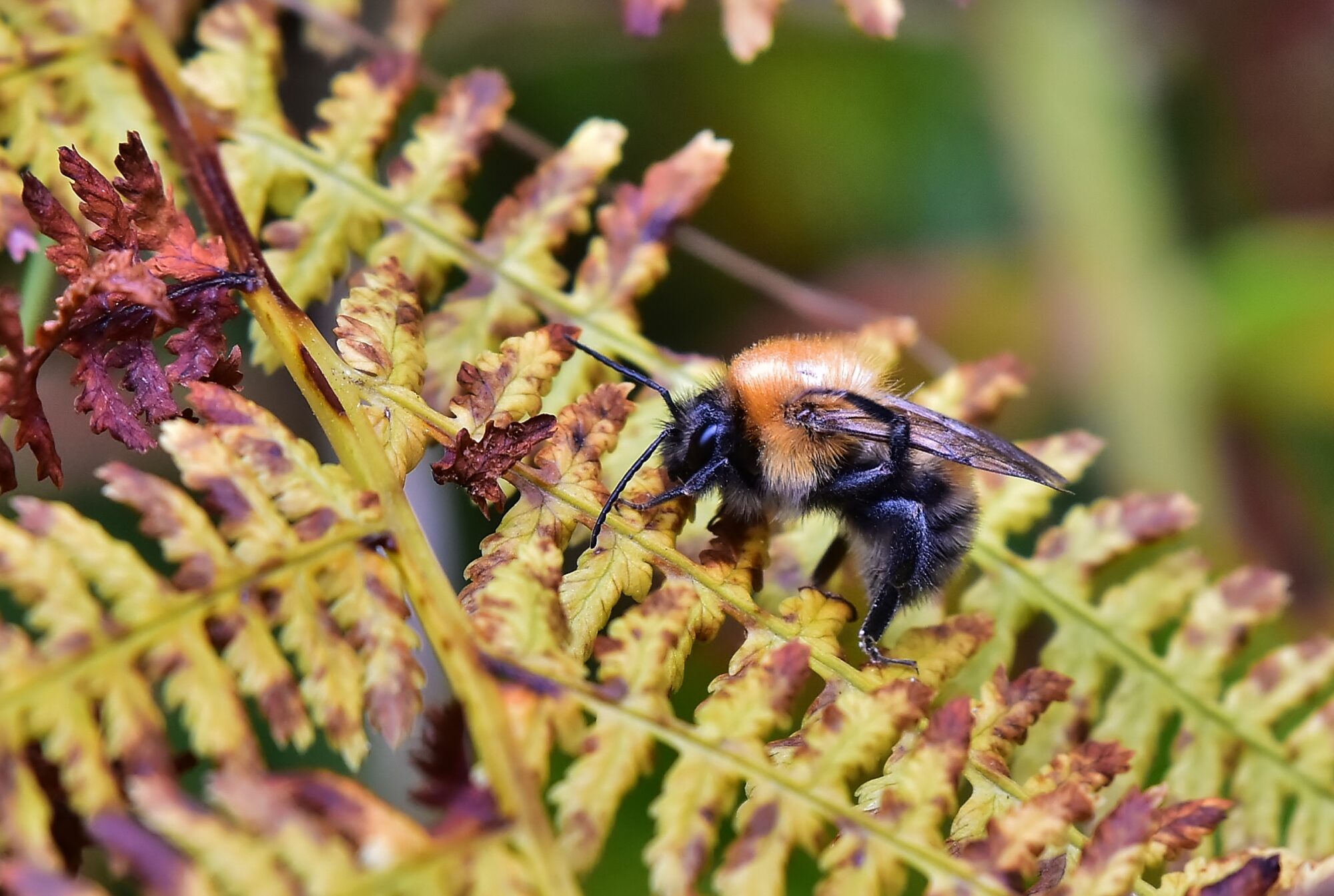 Valokuvaaja: Markku Pelkonen Valokuvaaja: Markku Pelkonen