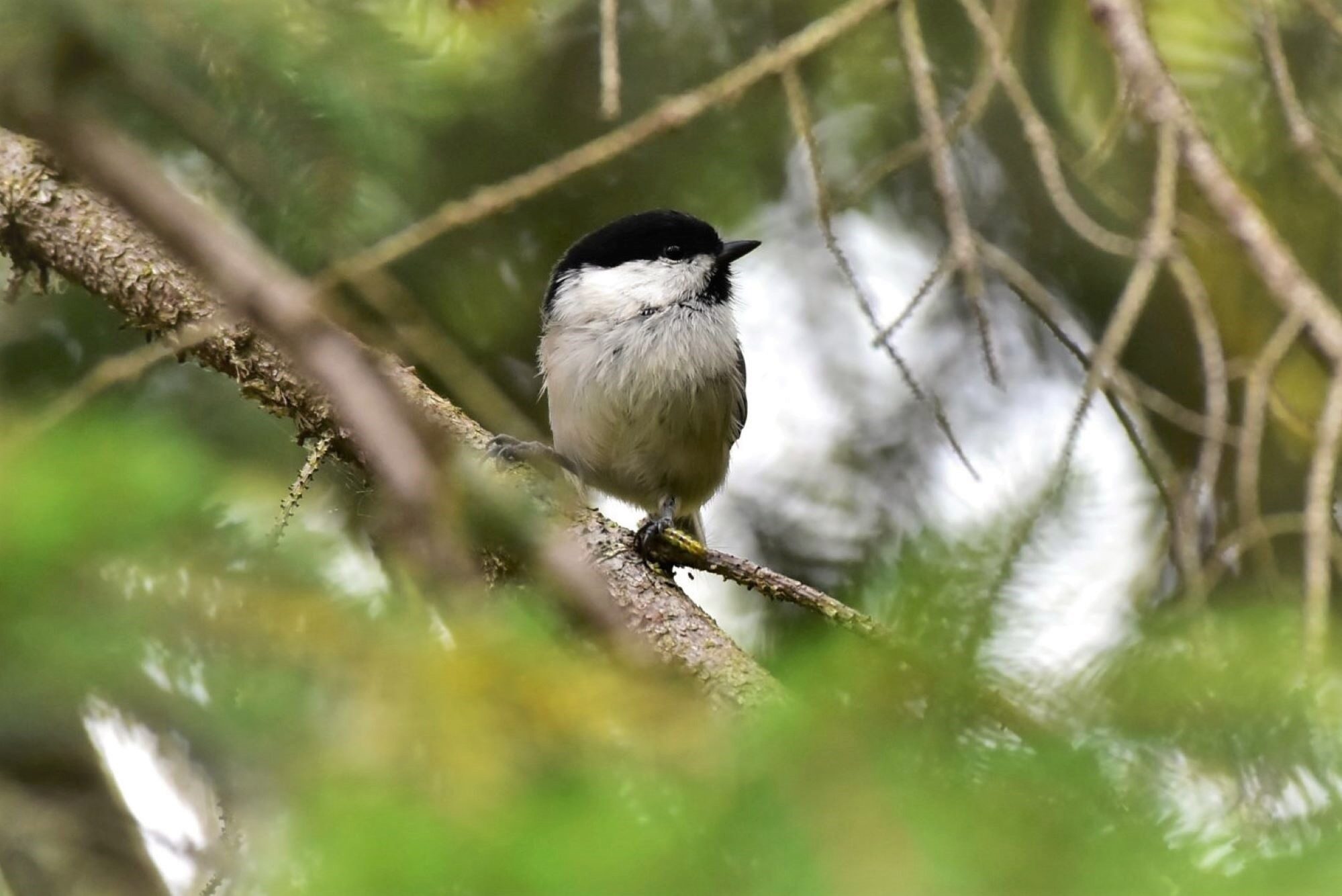 Valokuvaaja: Markku Pelkonen Valokuvaaja: Markku Pelkonen
