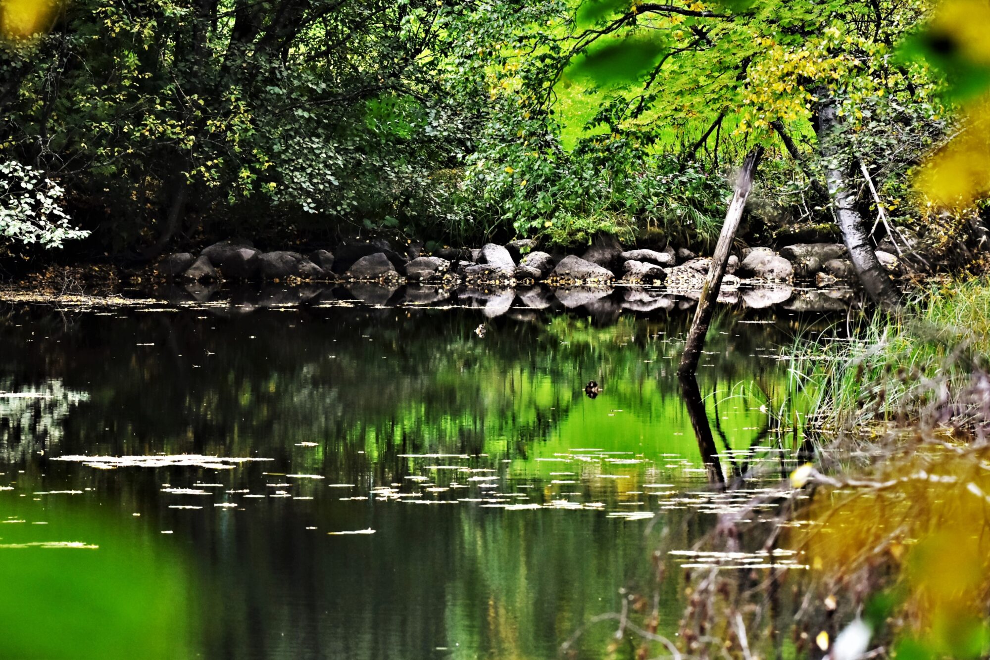 Valokuvaaja: Markku Pelkonen