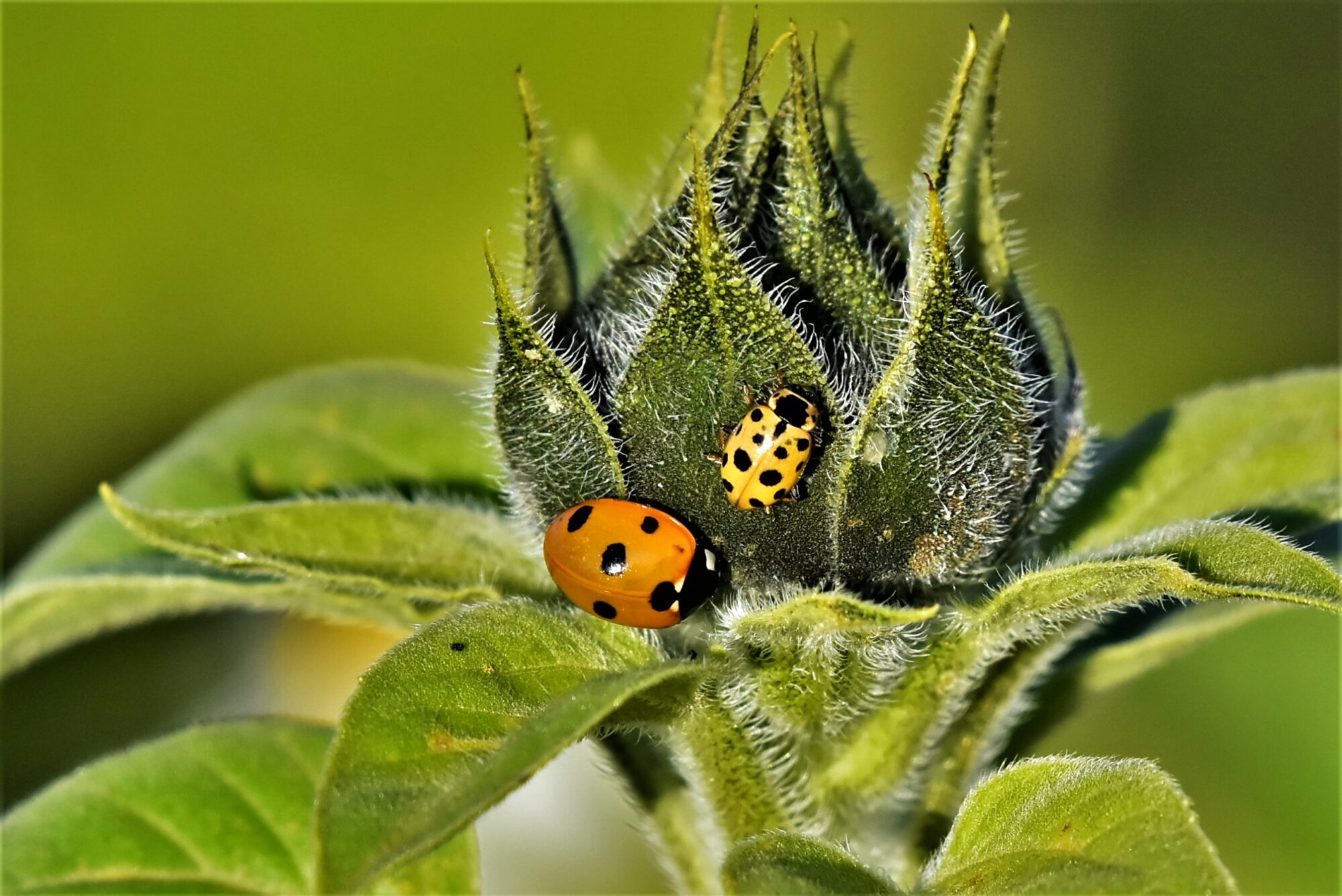 Valokuvaaja: Markku Pelkonen Valokuvaaja: Markku Pelkonen