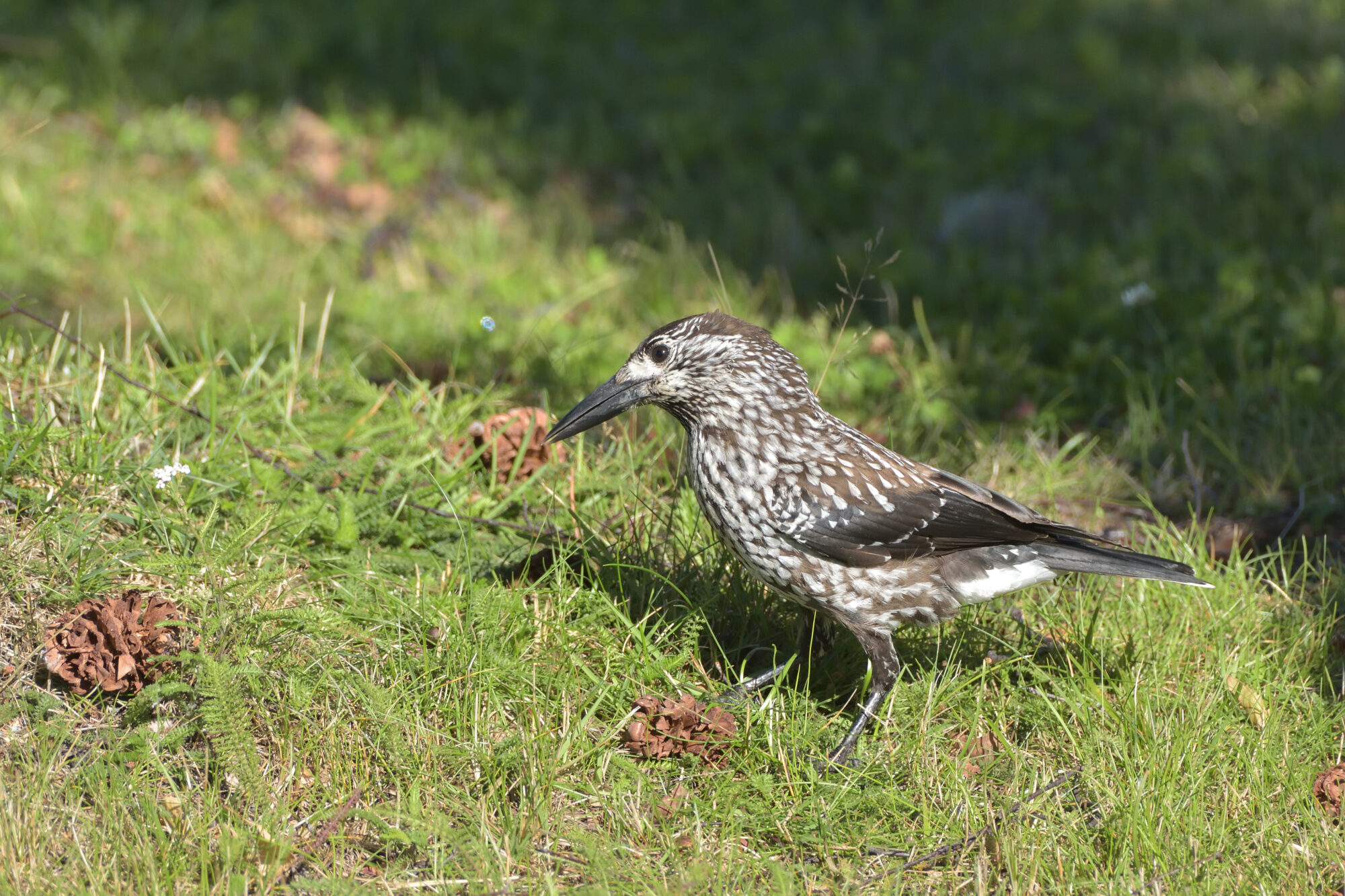 Valokuvaaja: Asko Heikkinen