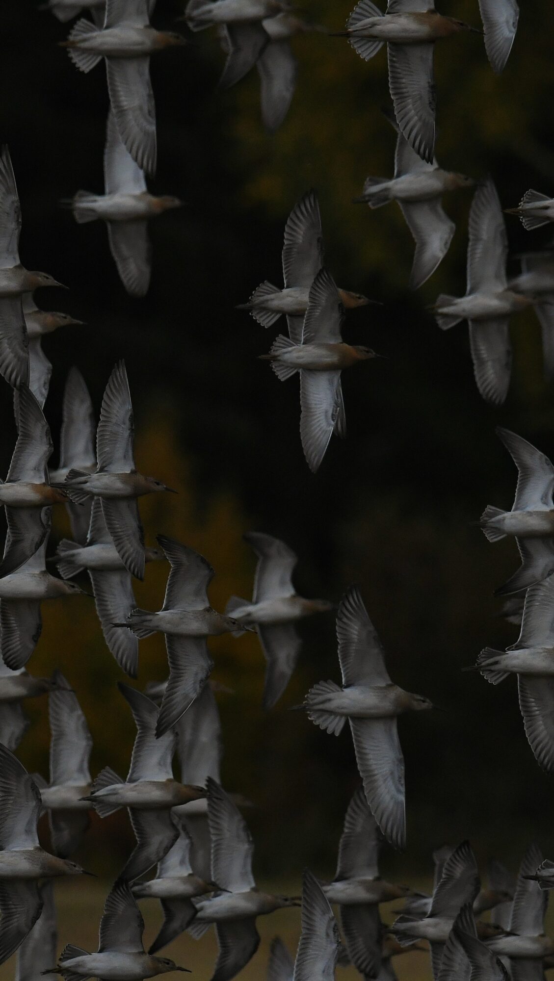 Valokuvaaja: Timo Lappalainen