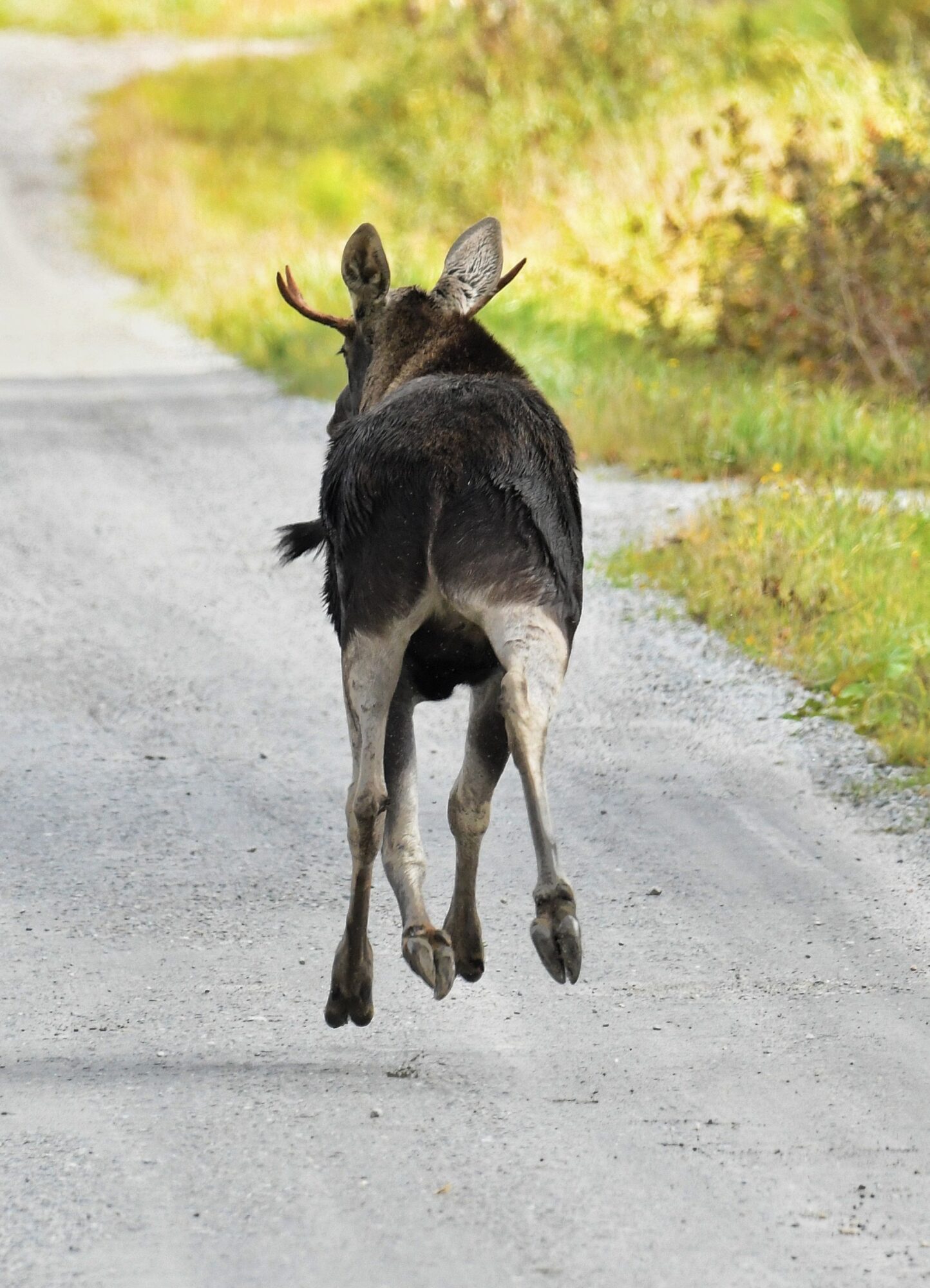 Valokuvaaja: Timo Lappalainen