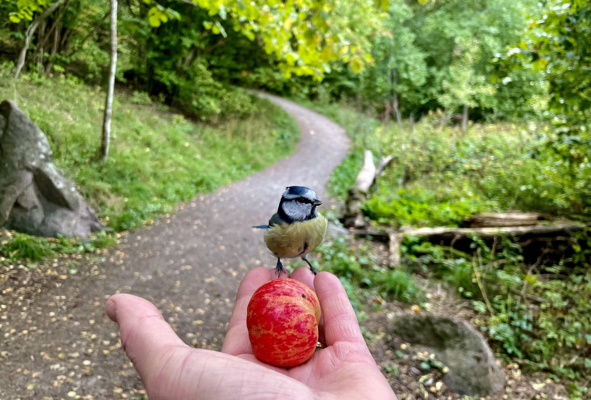 Valokuvaaja: Juhani Peltonen Valokuvaaja: Juhani Peltonen