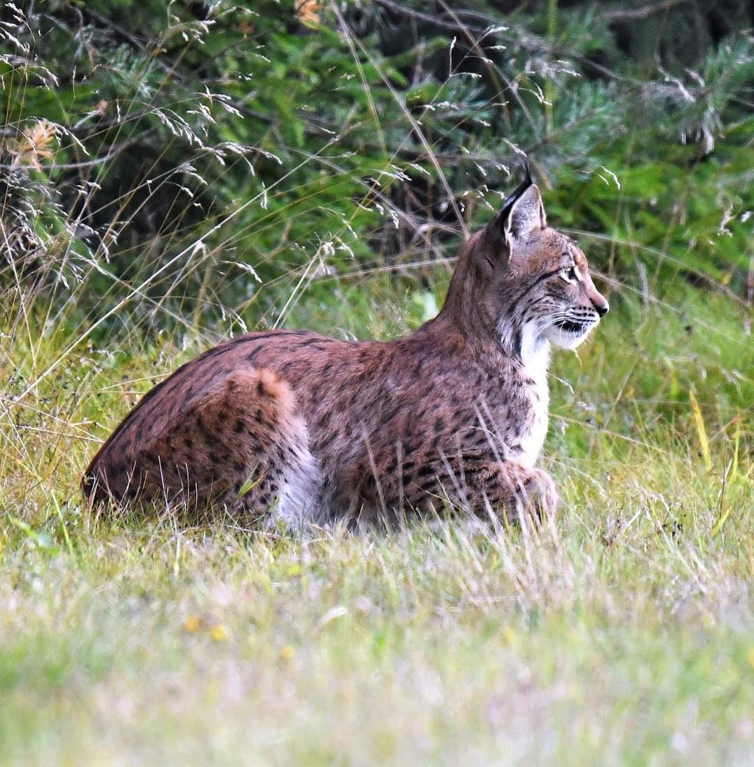 Valokuvaaja: Tuija Mustalahti