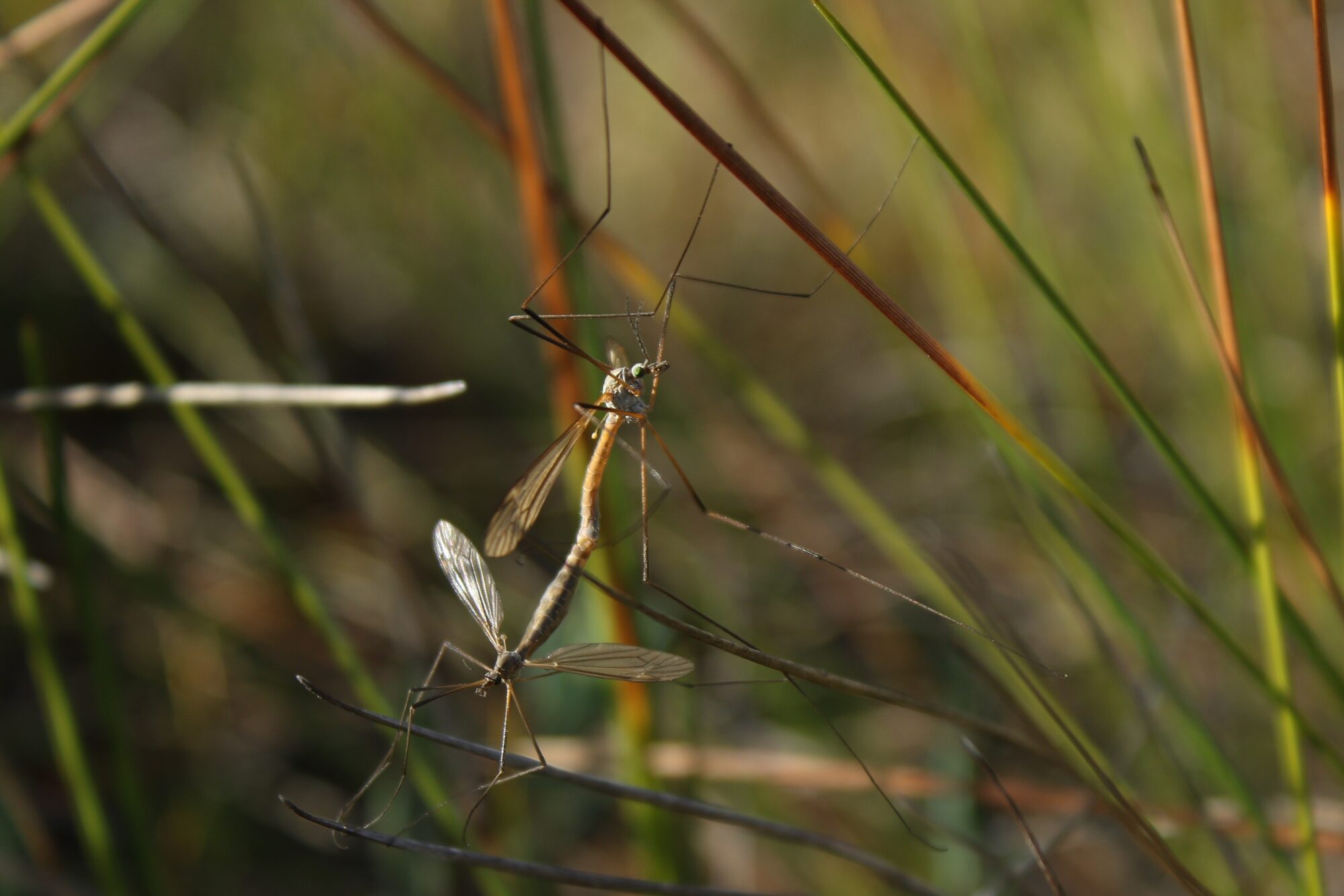 Valokuvaaja: Jarmo Mäkinen