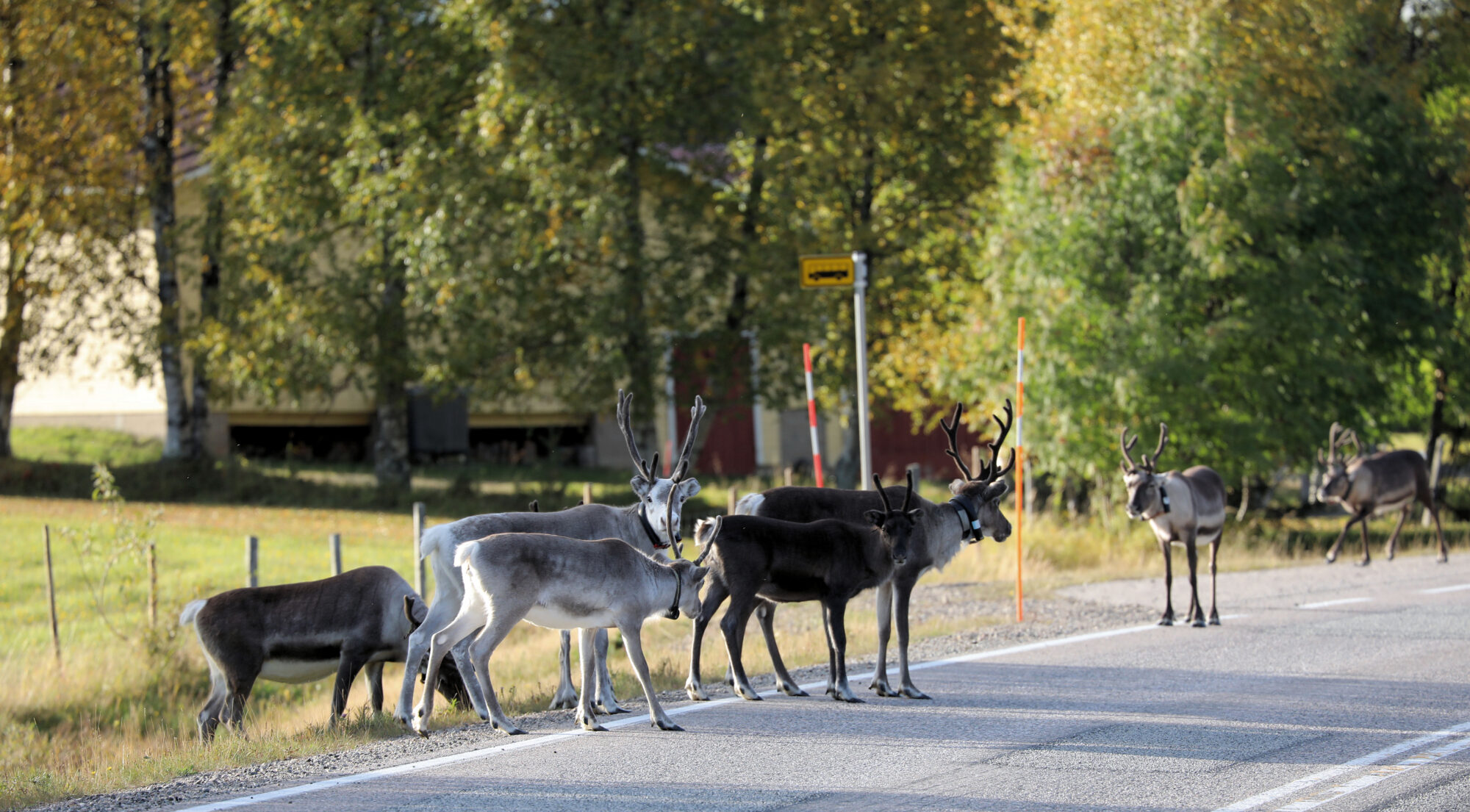 Valokuvaaja: Ahti Keränen
