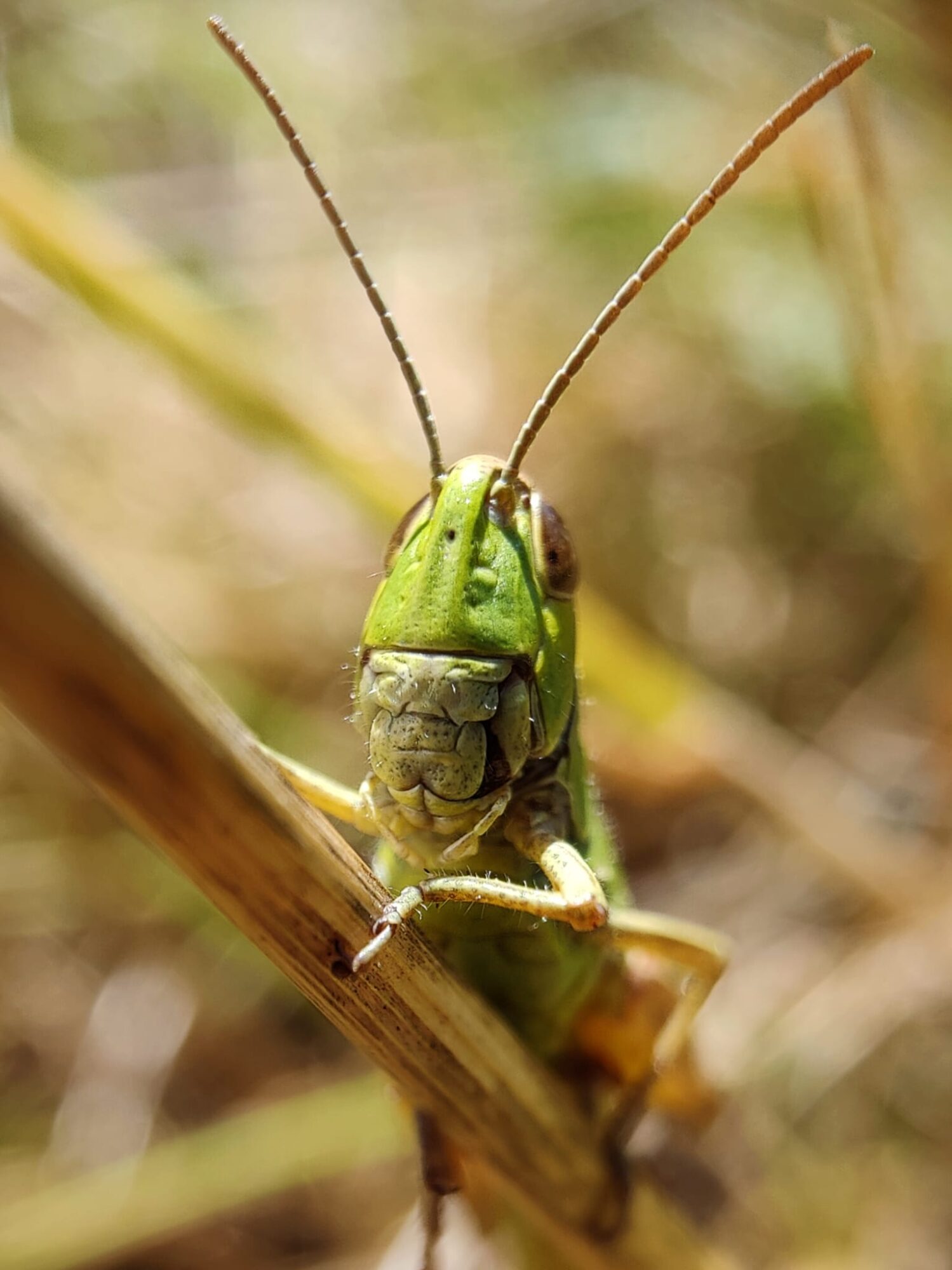 Valokuvaaja: Seppo Tolin Valokuvaaja: Seppo Tolin