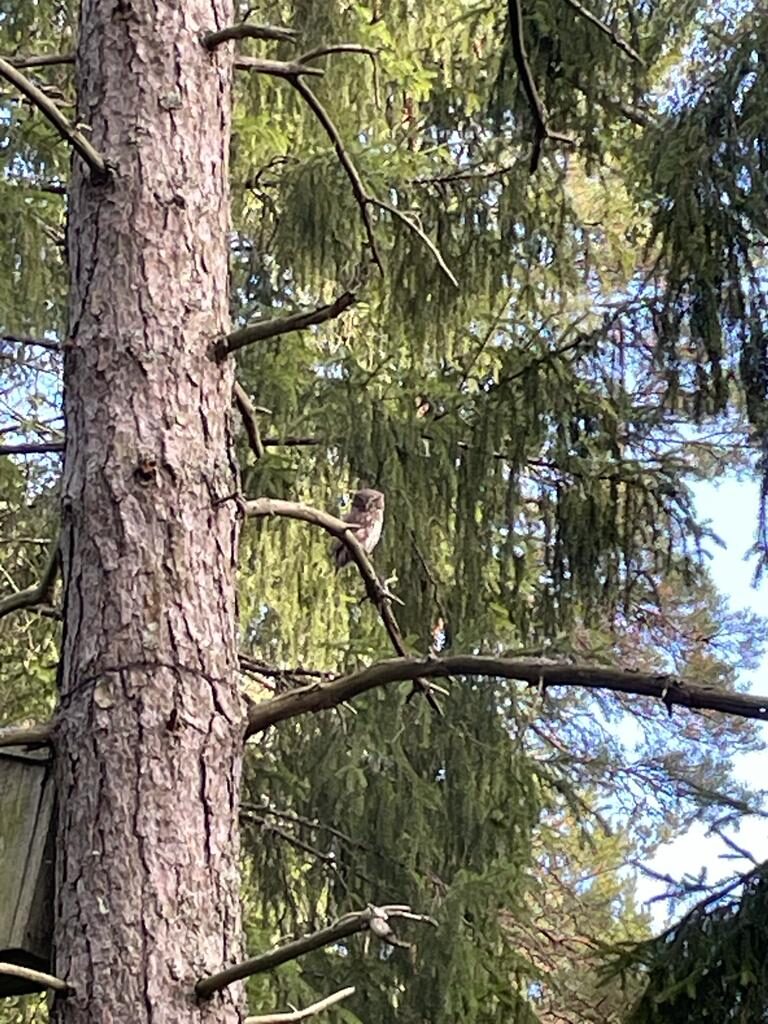 Valokuvaaja: Alvar Ilmonen Valokuvaaja: Alvar Ilmonen