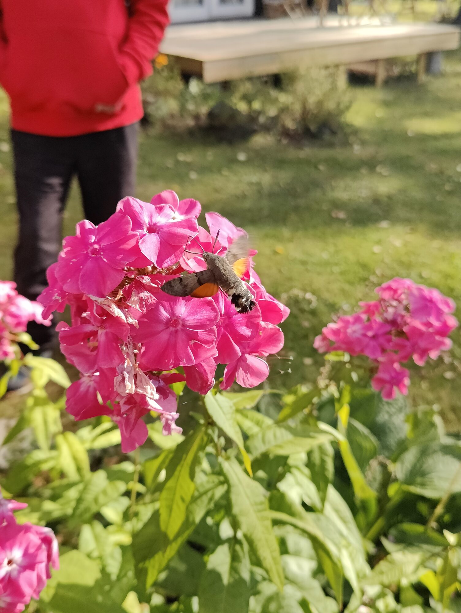 Valokuvaaja: Jouni Viherväs