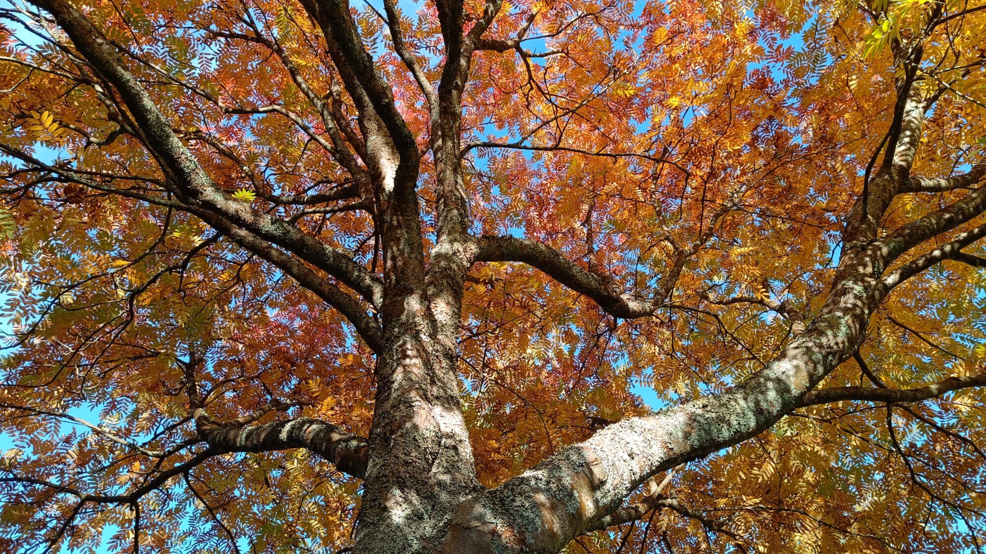 Valokuvaaja: Jenna Pitkänen