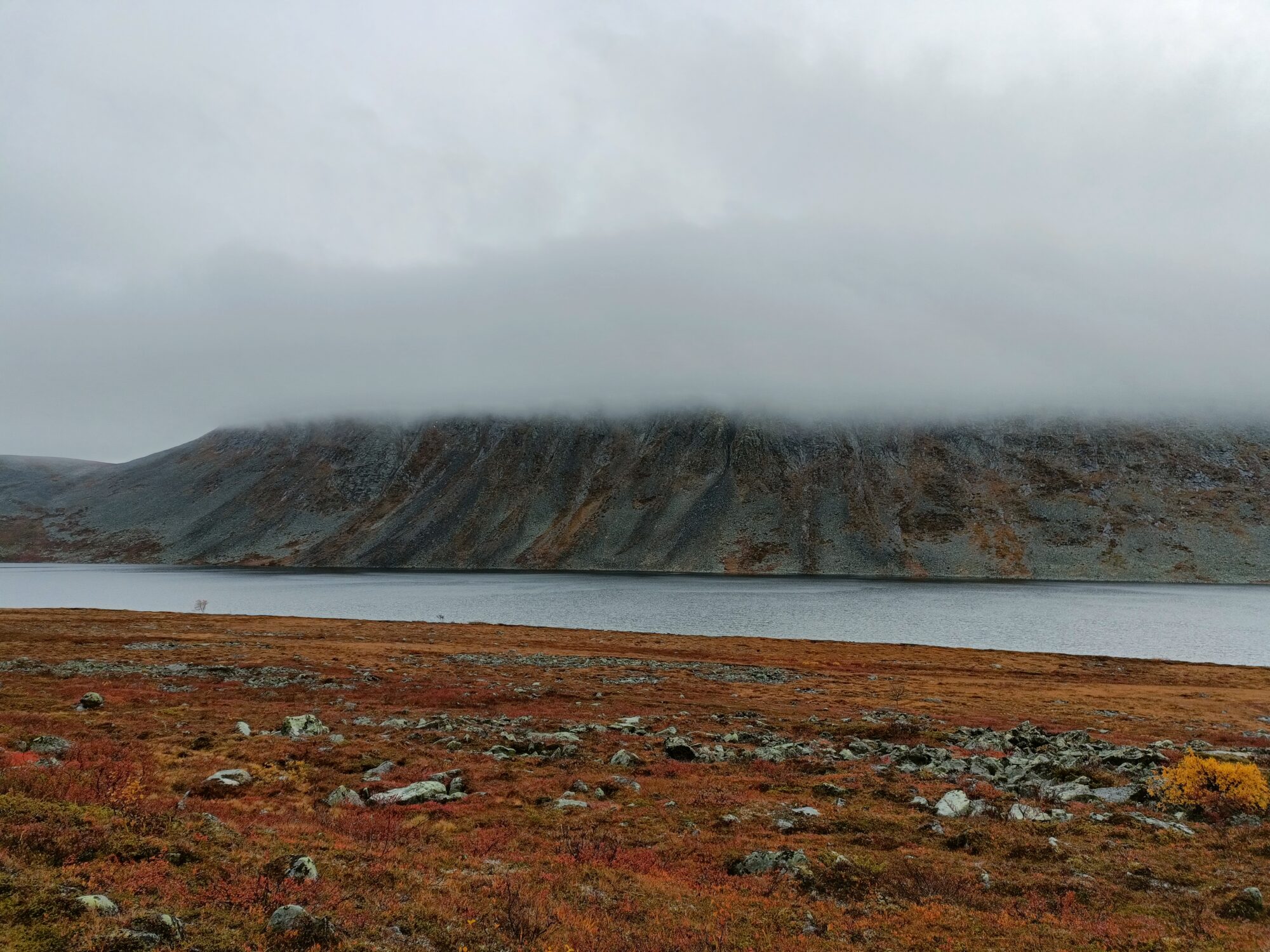Valokuvaaja: Anna Huoviala