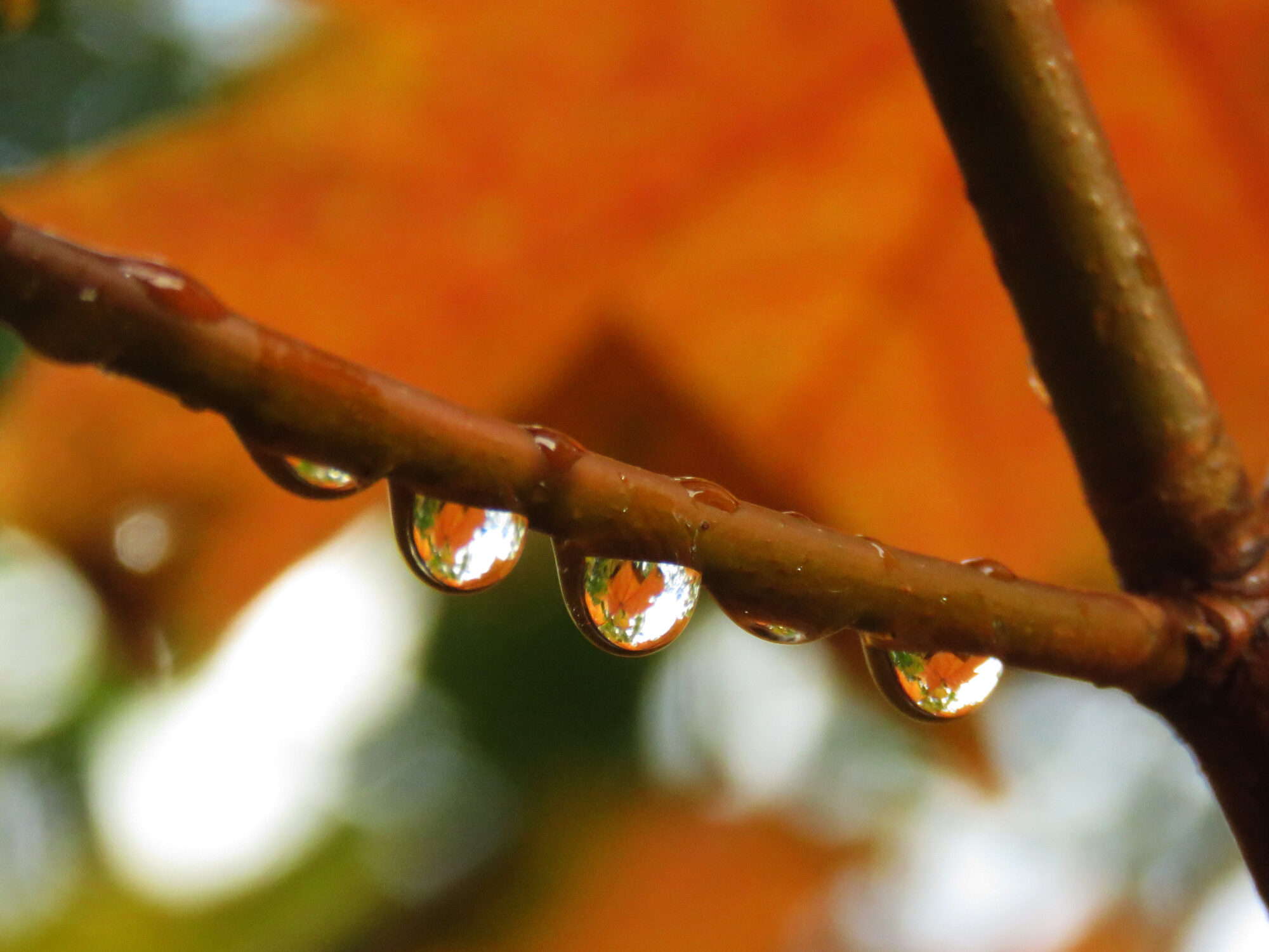 Valokuvaaja: Liisa Johansson