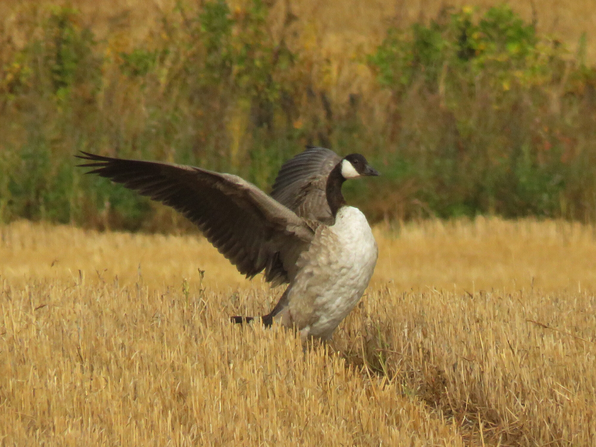Valokuvaaja: Liisa Johansson