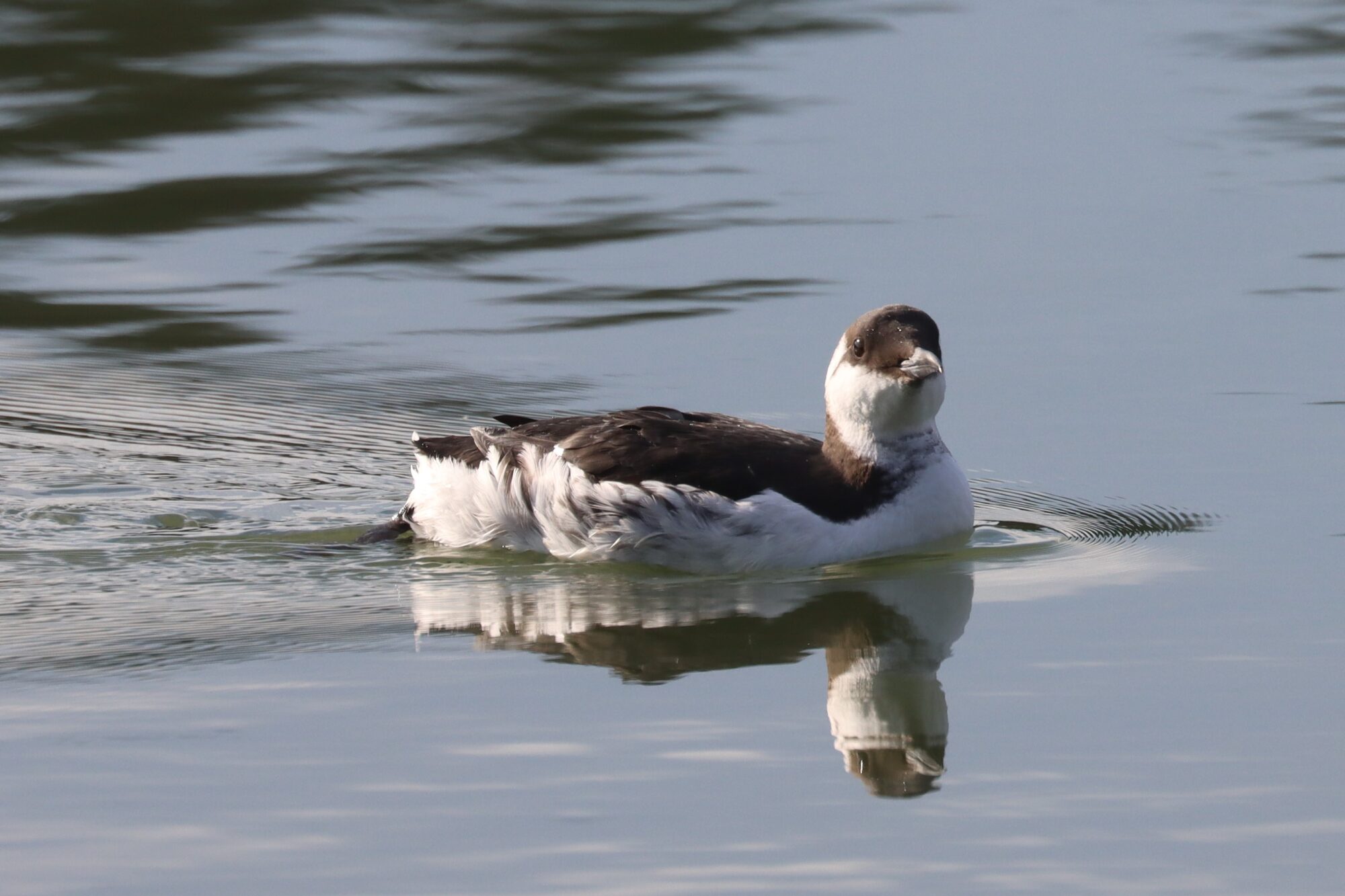 Valokuvaaja: Susanna Hannula