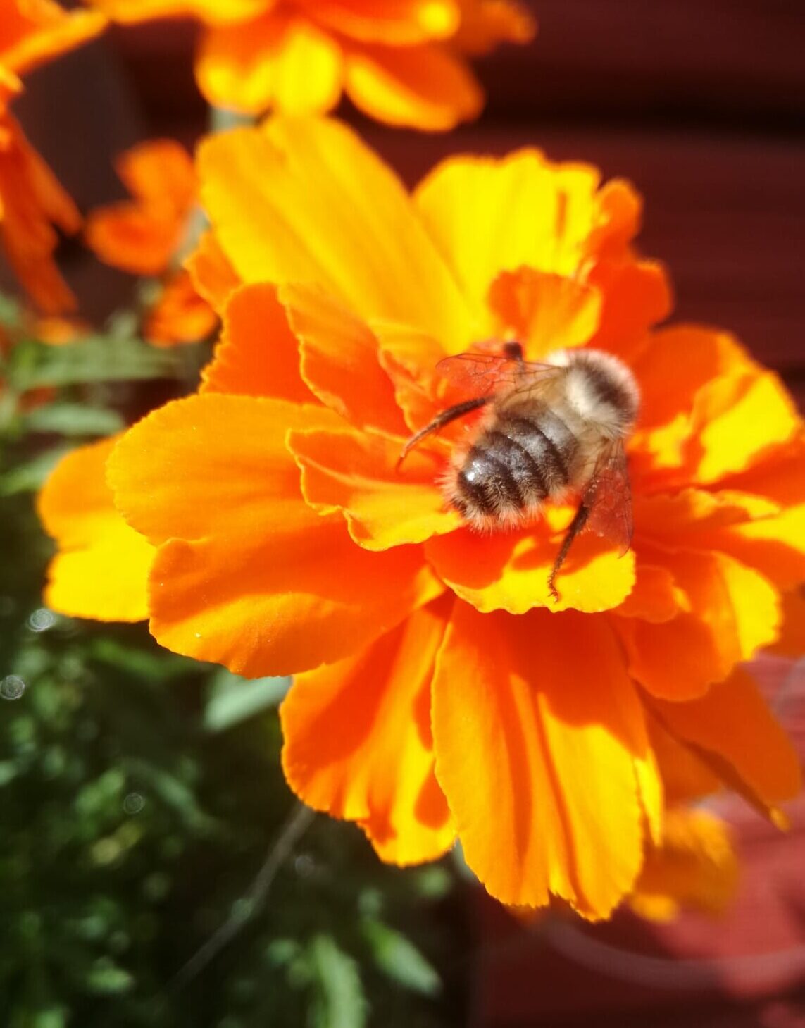 Valokuvaaja: outi vesterberg