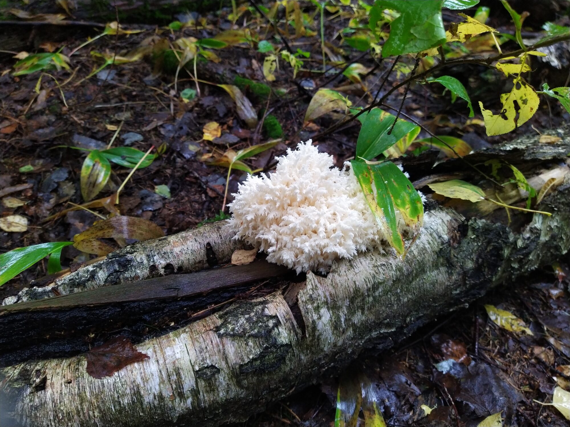 Valokuvaaja: Tina Lindgren