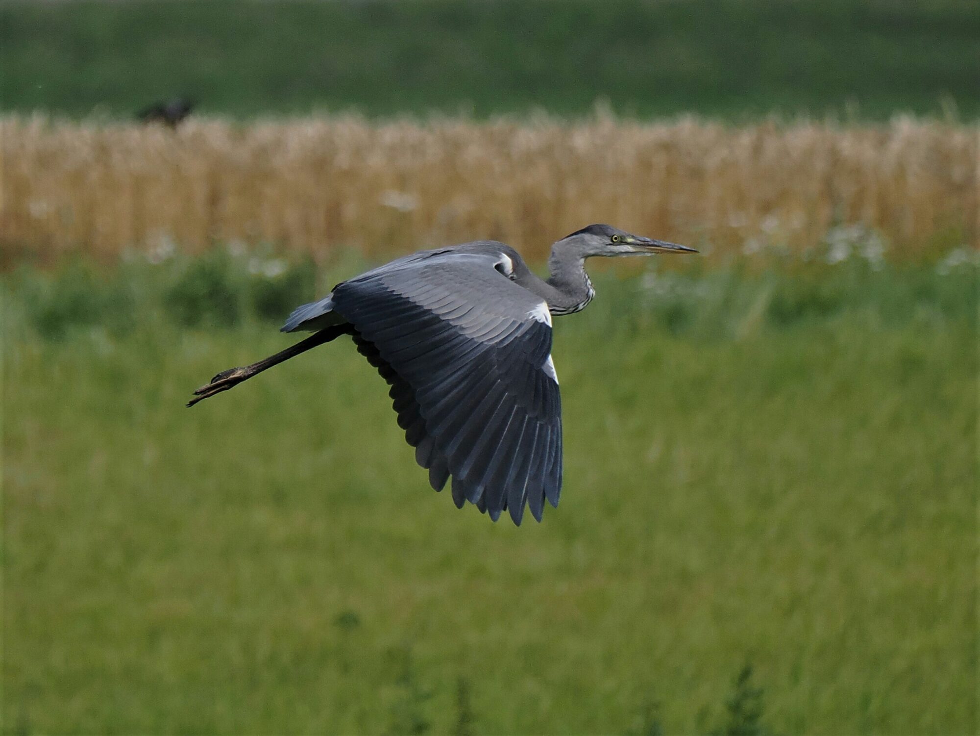 Valokuvaaja: Mikkola Irma