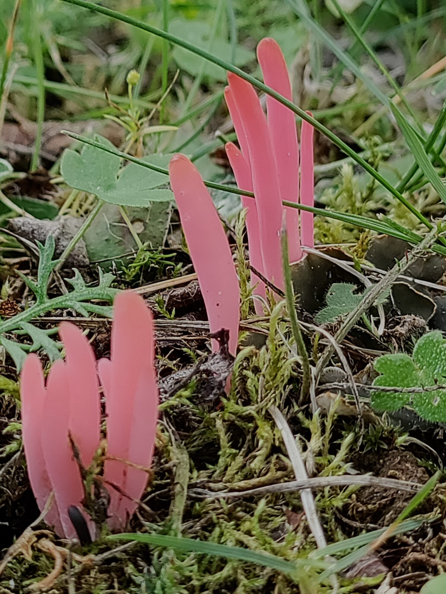 Valokuvaaja: Helena Okkonen